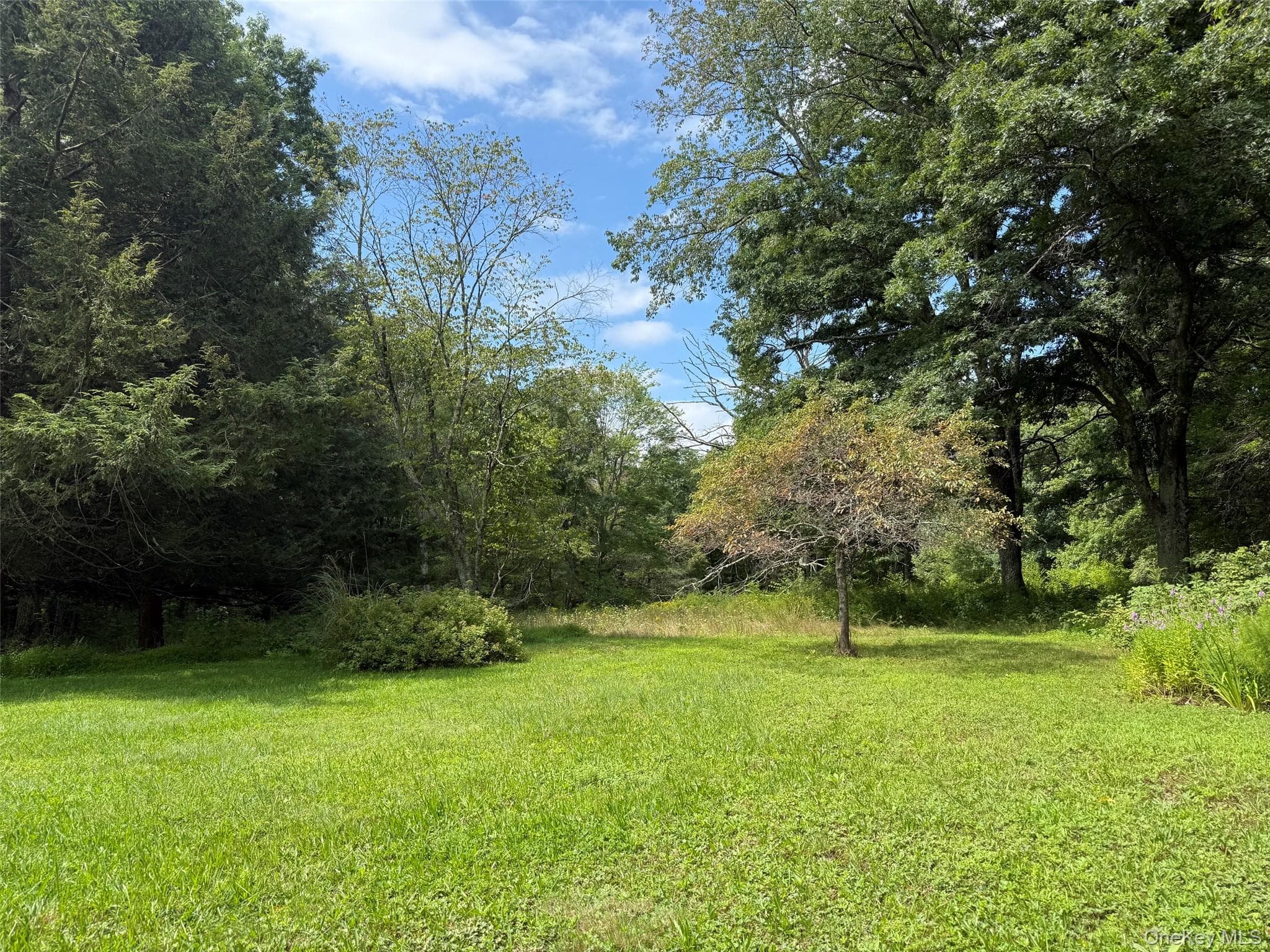 85 Bella Vista Road thumbnail 6