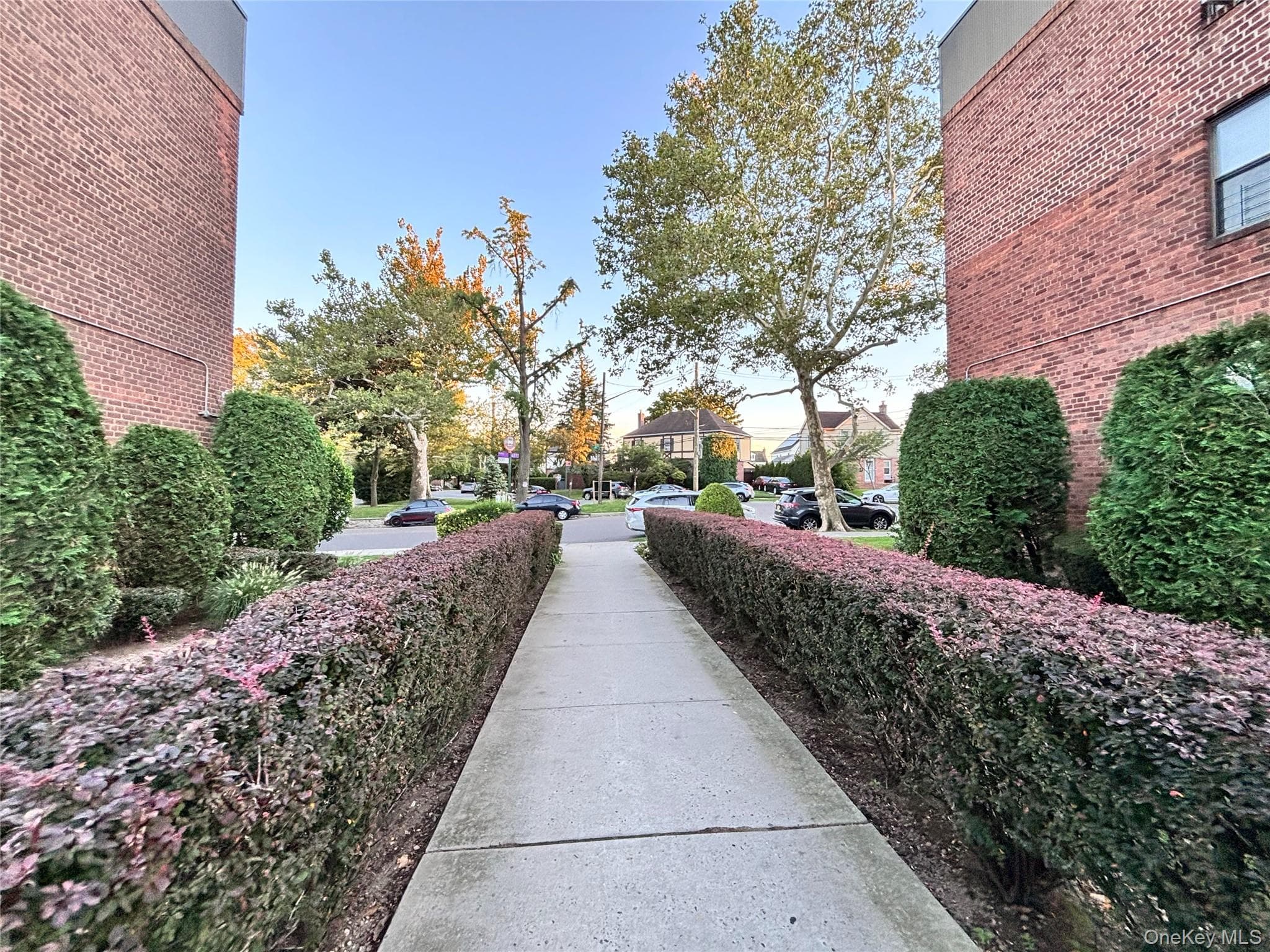 215-27 48th Avenue Unit: 1B thumbnail 4