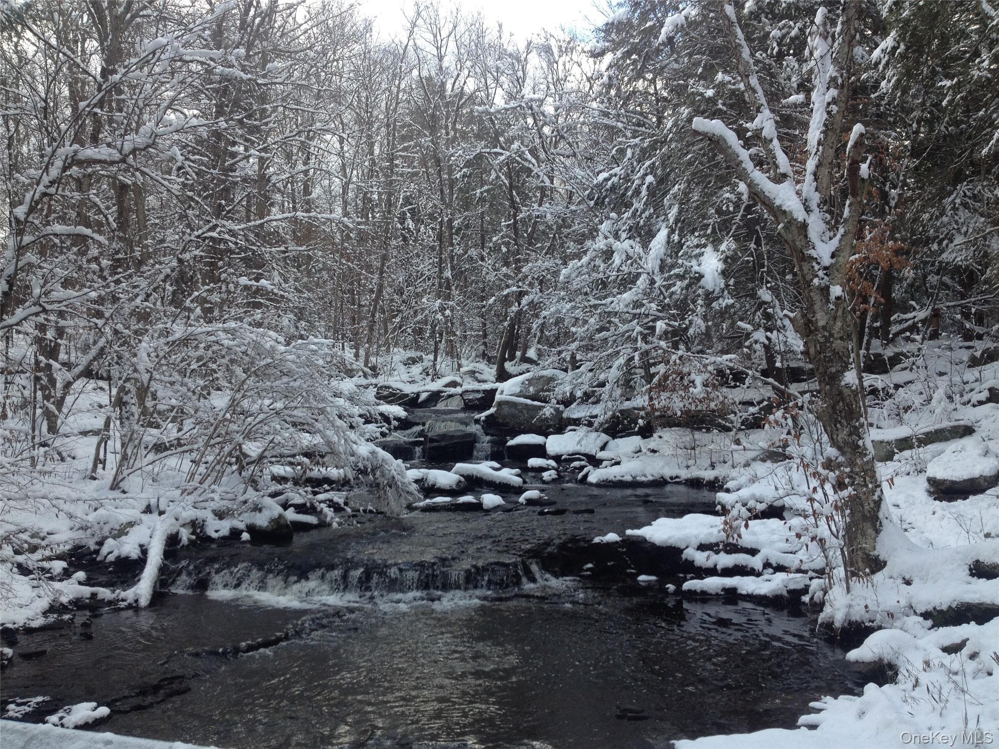 64 Cumberland Trail thumbnail 28