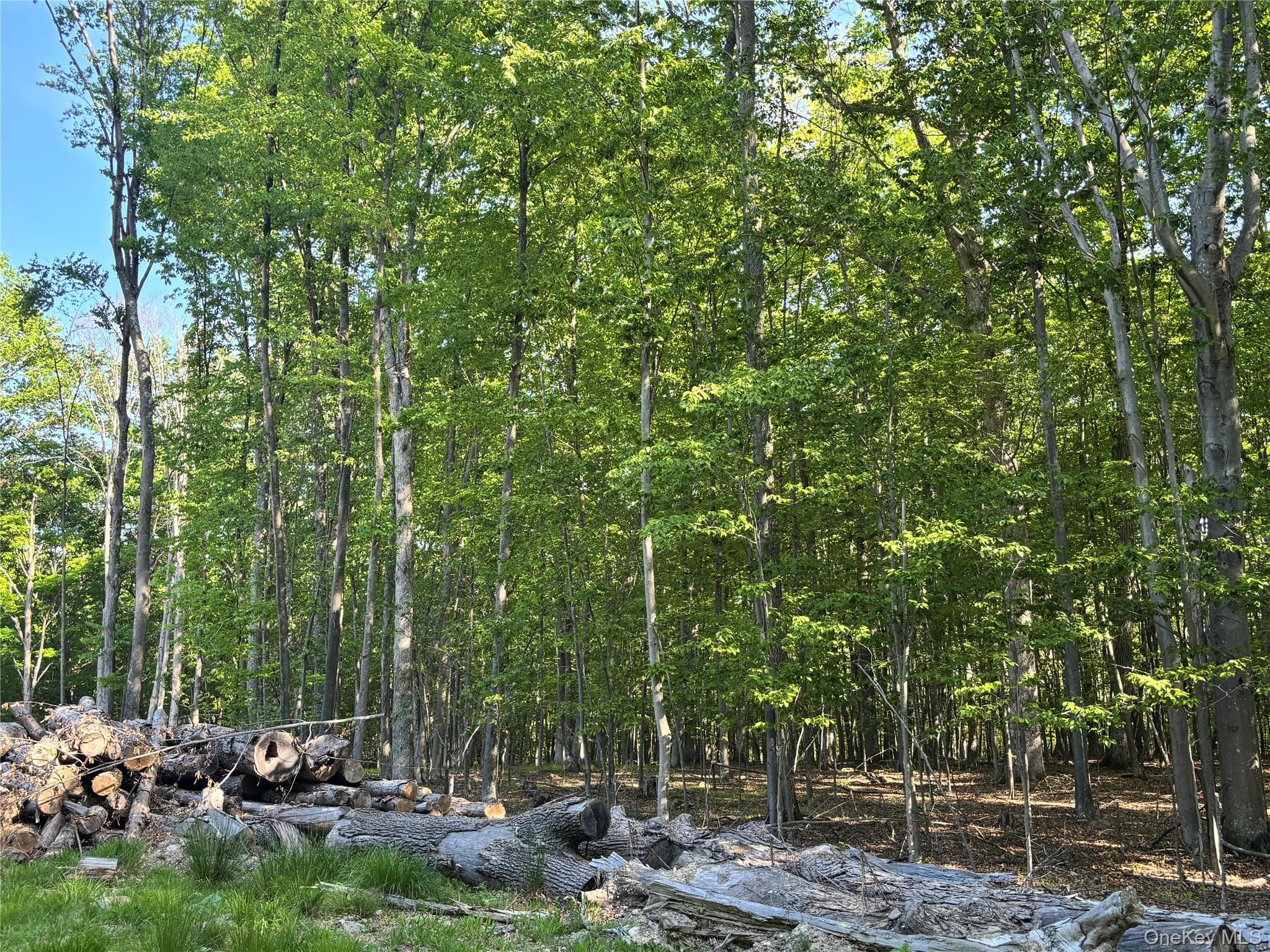 South Plank Road thumbnail 7