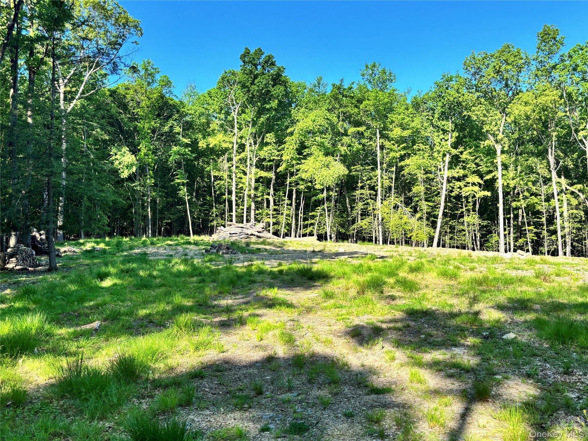 South Plank Road thumbnail 5