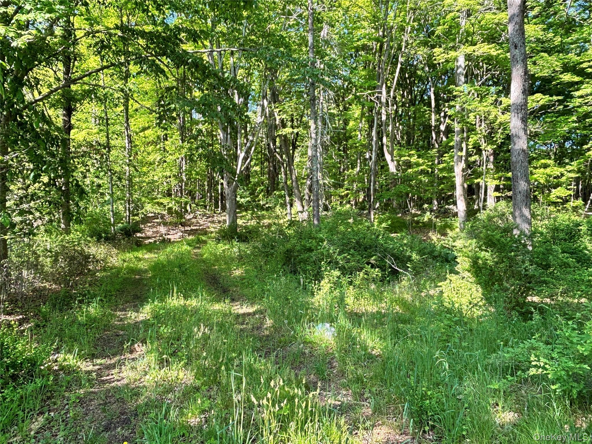 South Plank Road thumbnail 13