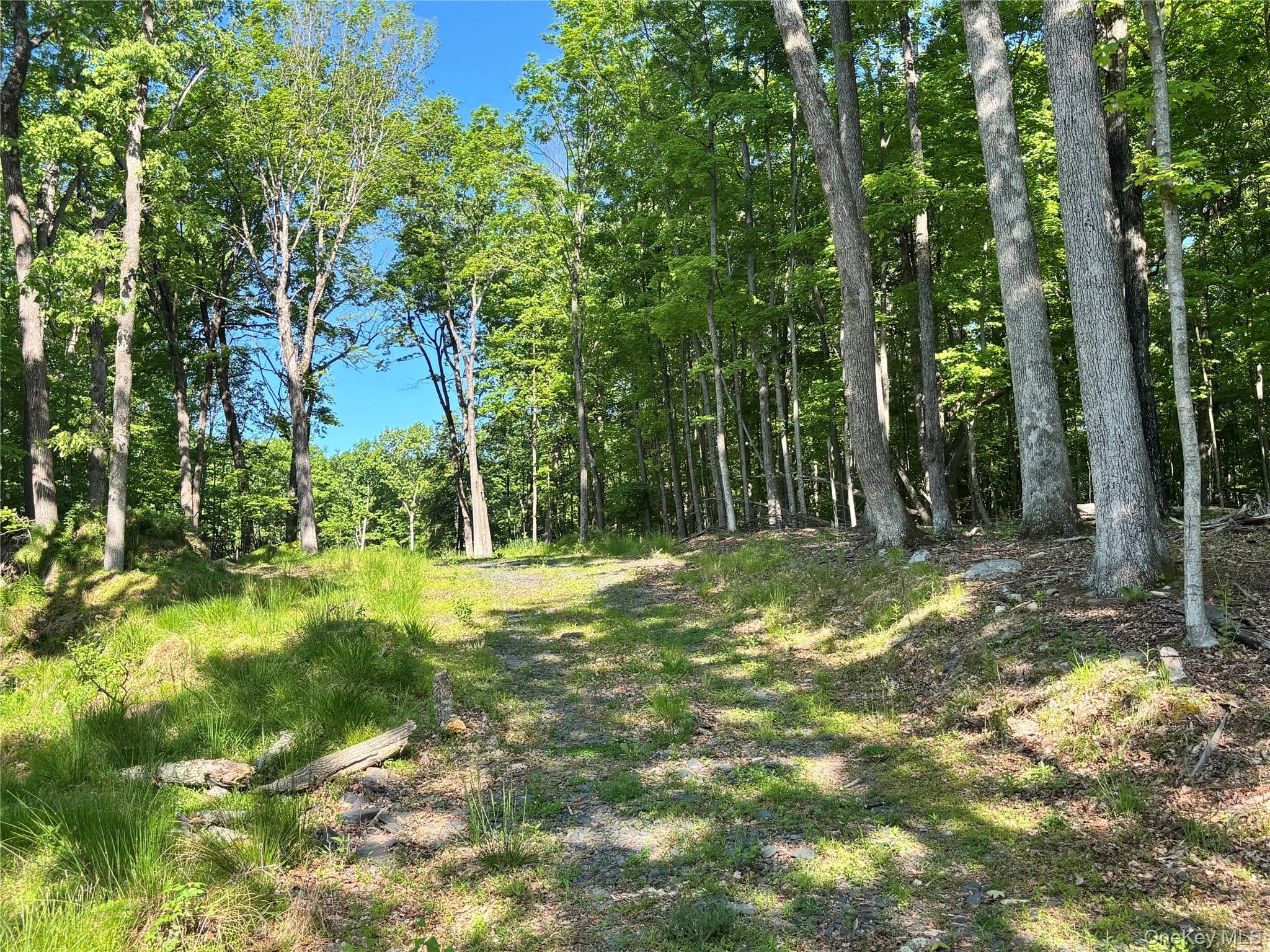 South Plank Road thumbnail 3