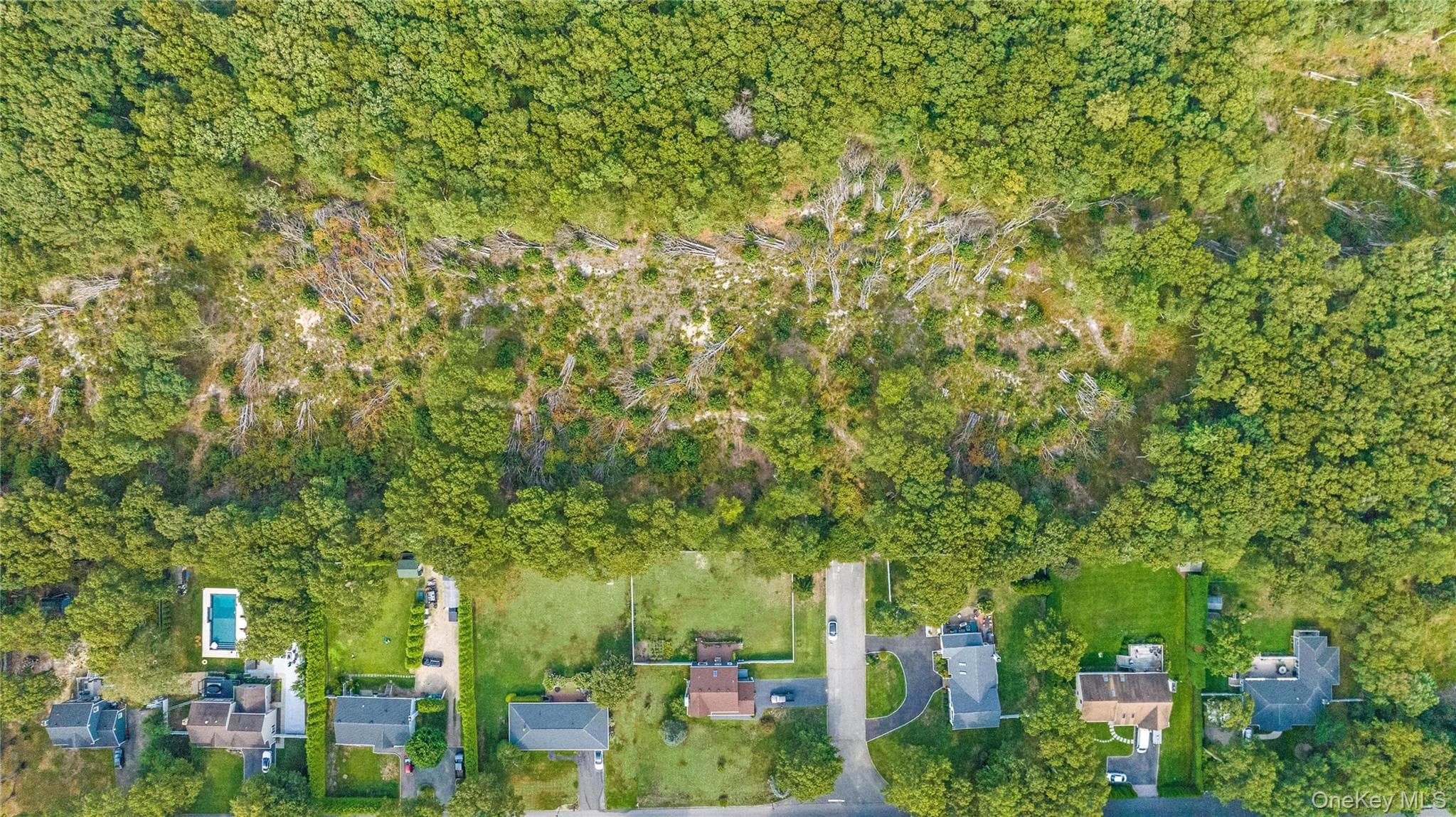 Midway Drive thumbnail 7