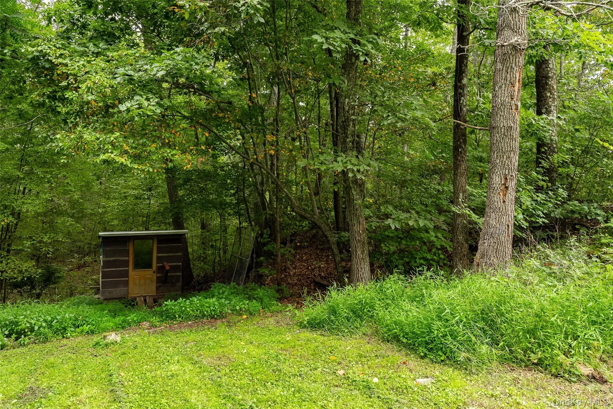 428 Clinton Hollow Road thumbnail 20