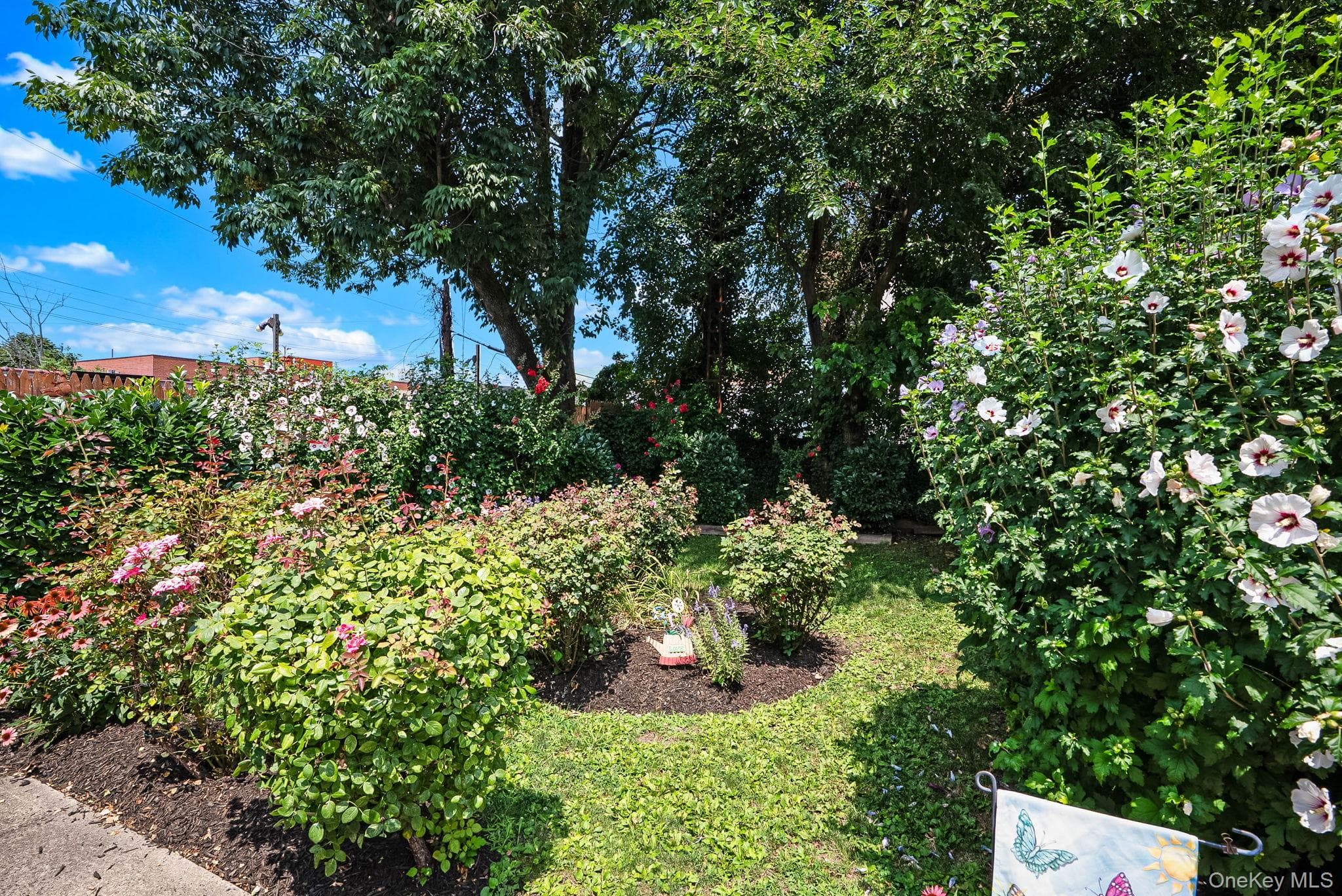 122-15 23rd Avenue thumbnail 7