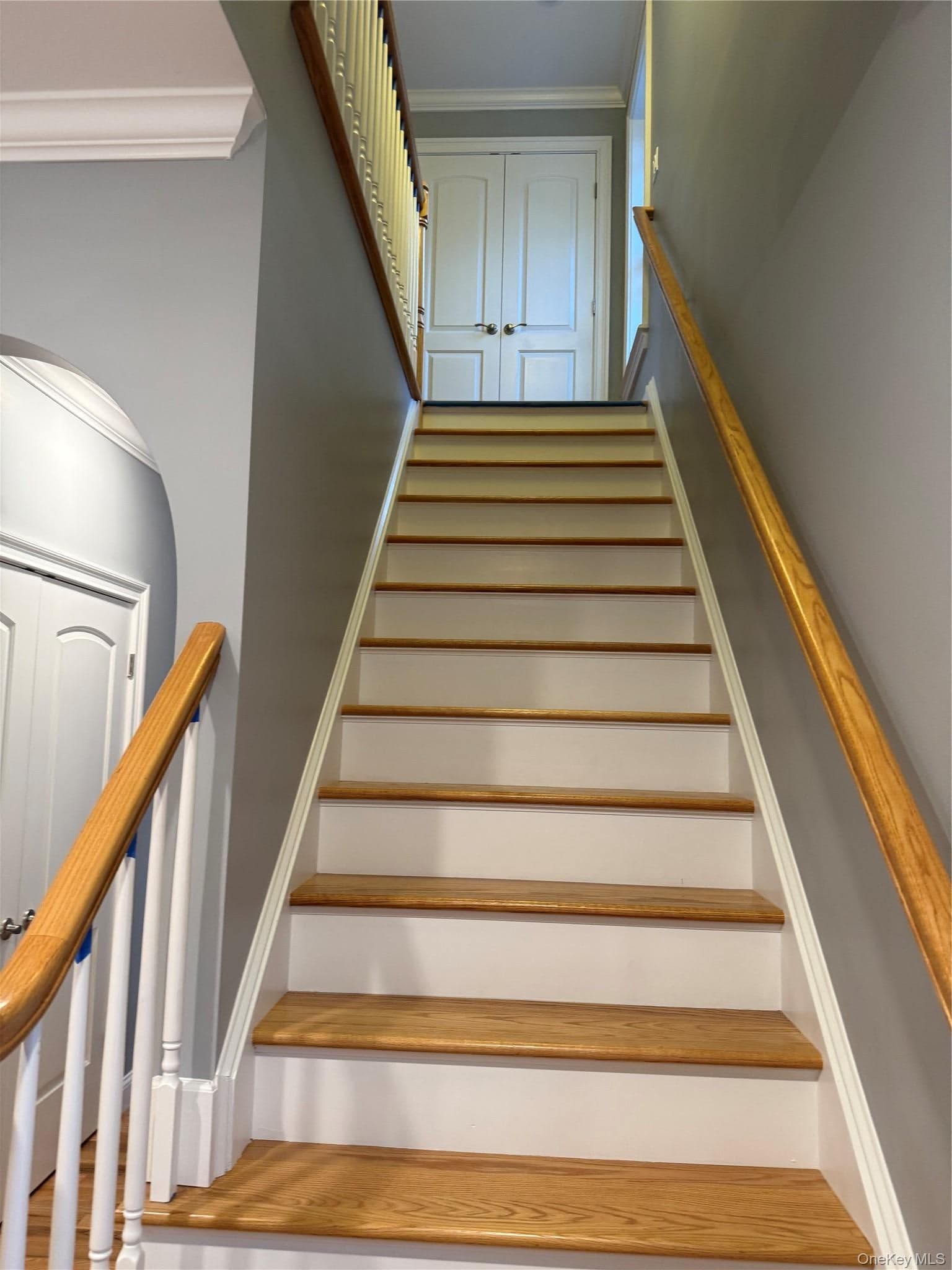 43 Fitchett Street thumbnail 11