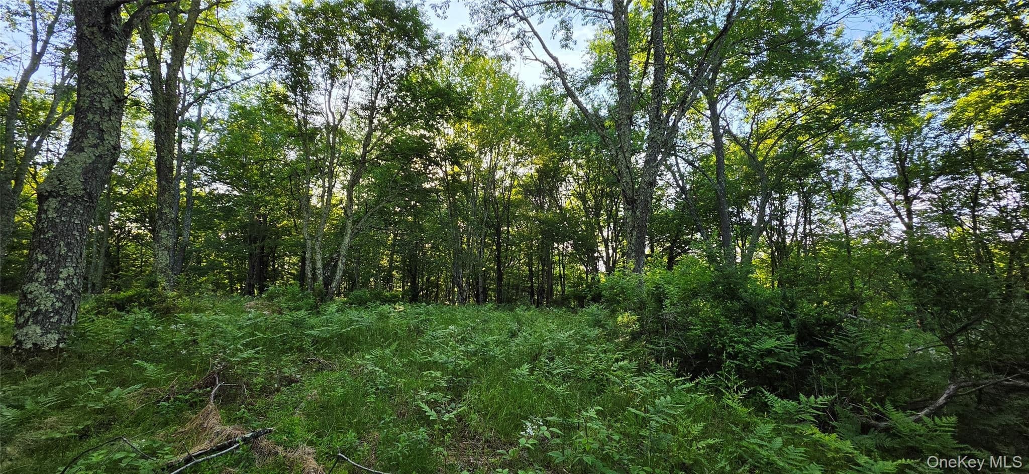 Lot 1.35 W Shore Road thumbnail 11