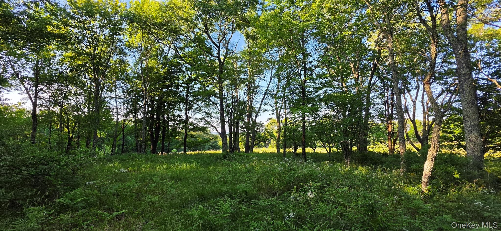Lot 1.35 W Shore Road thumbnail 9