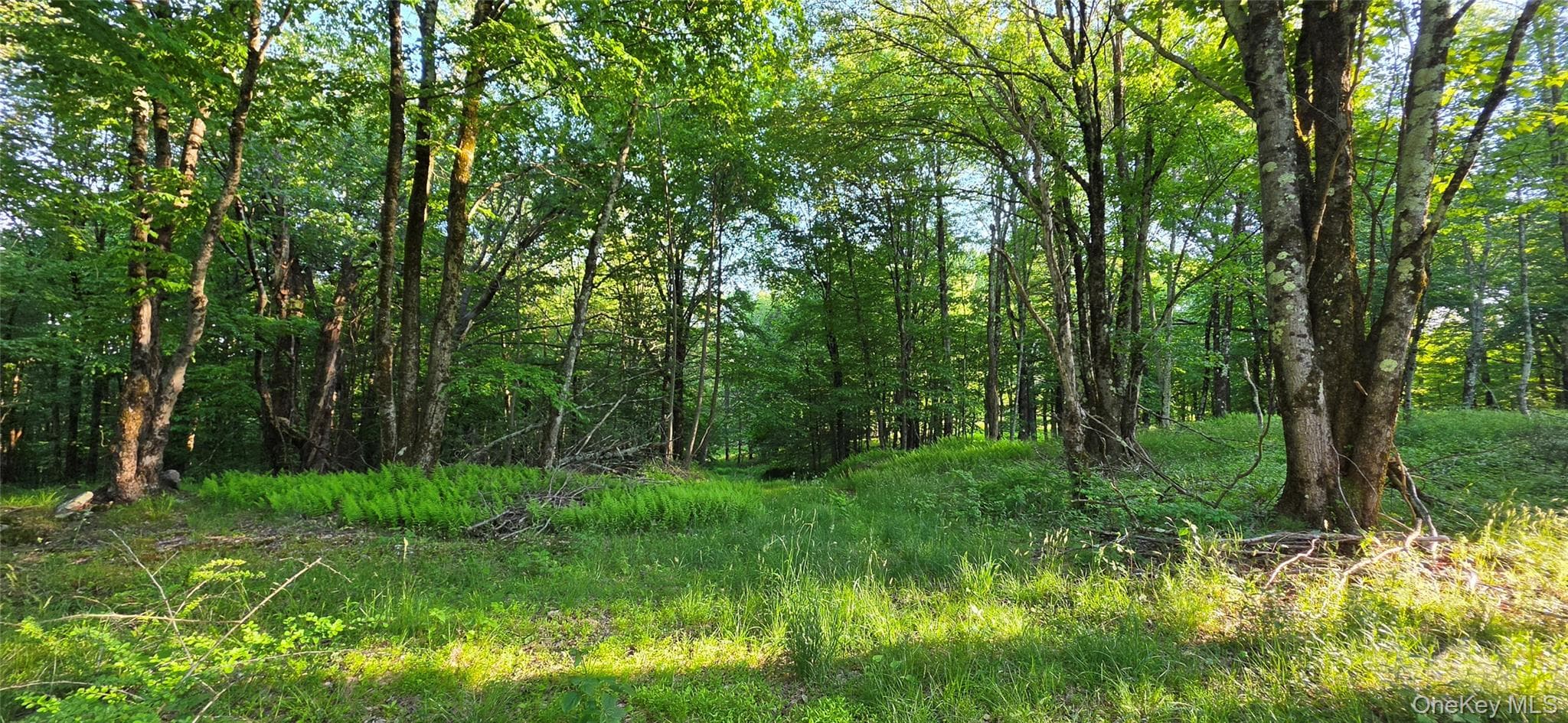 Lot 1.35 W Shore Road thumbnail 14