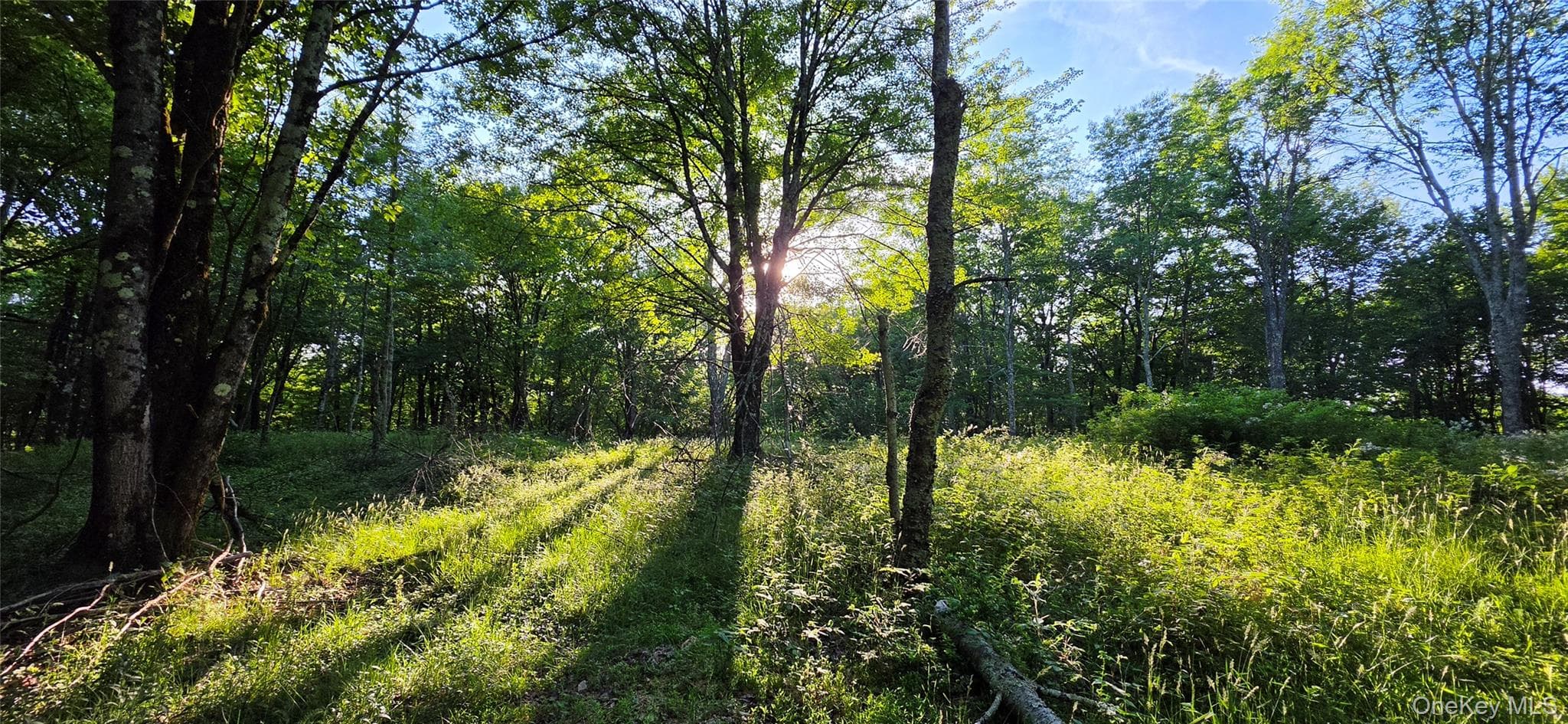Lot 1.35 W Shore Road thumbnail 15