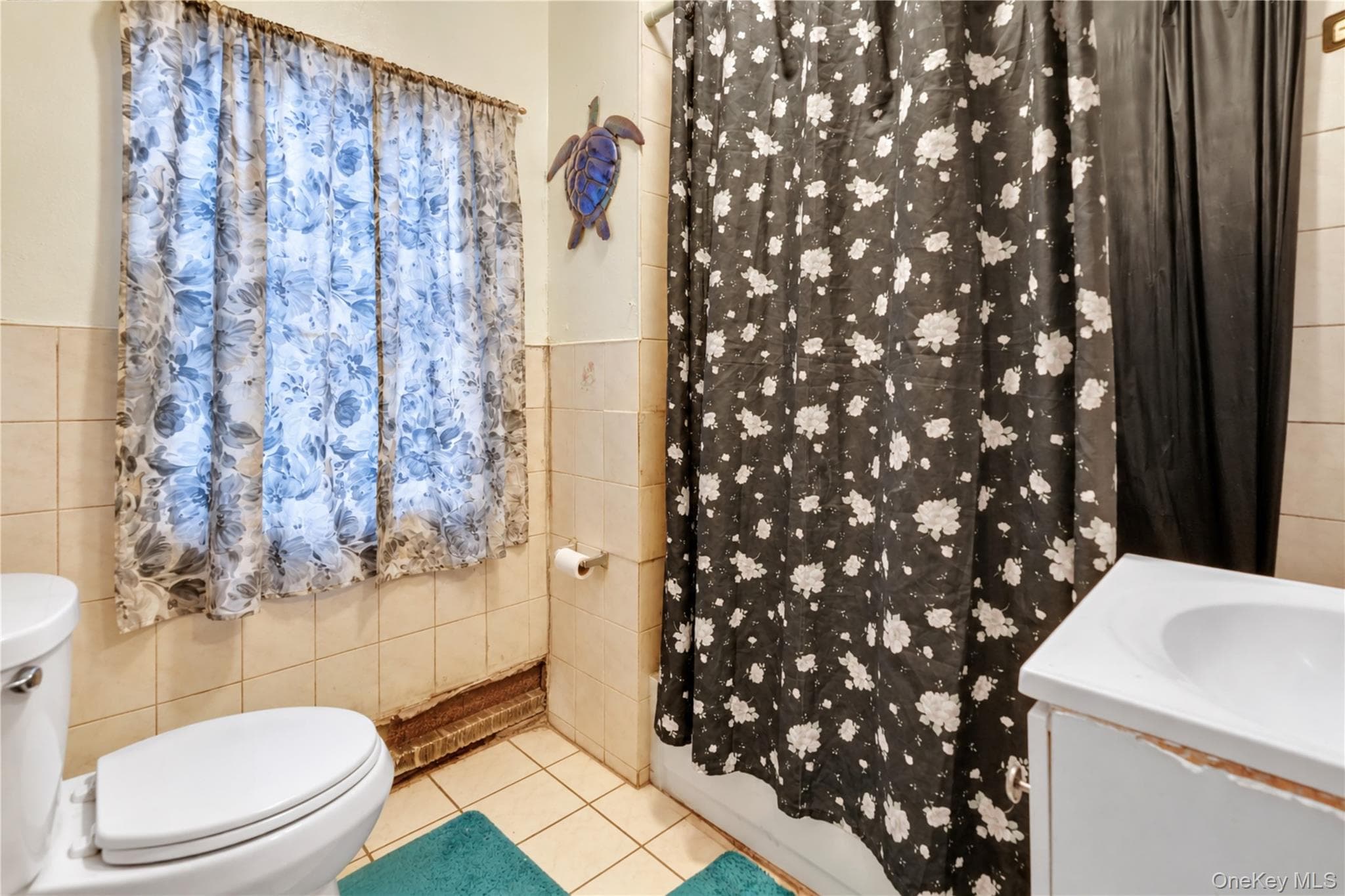 243 Schenck Avenue thumbnail 15