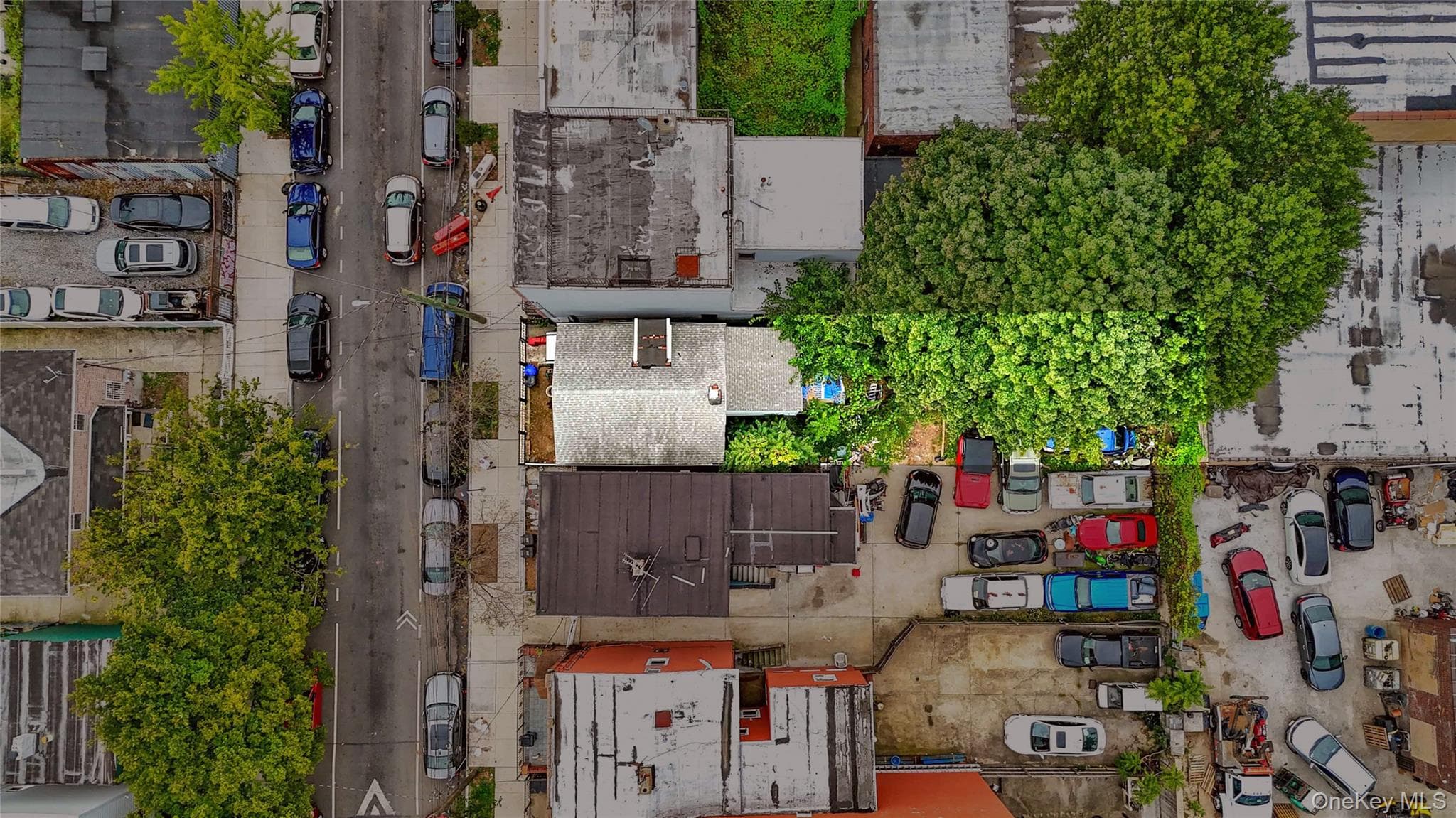 243 Schenck Avenue thumbnail 27
