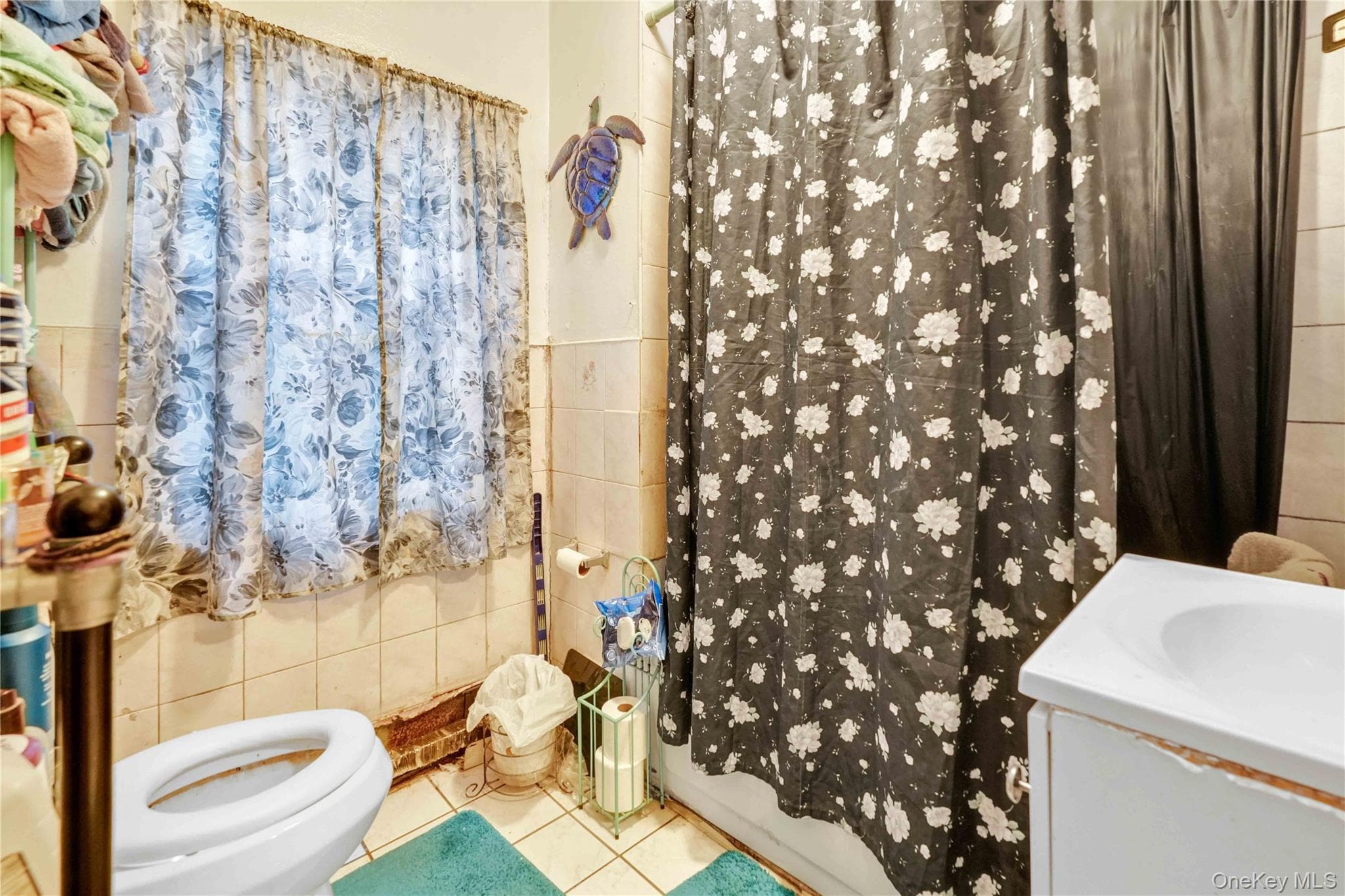 243 Schenck Avenue thumbnail 16