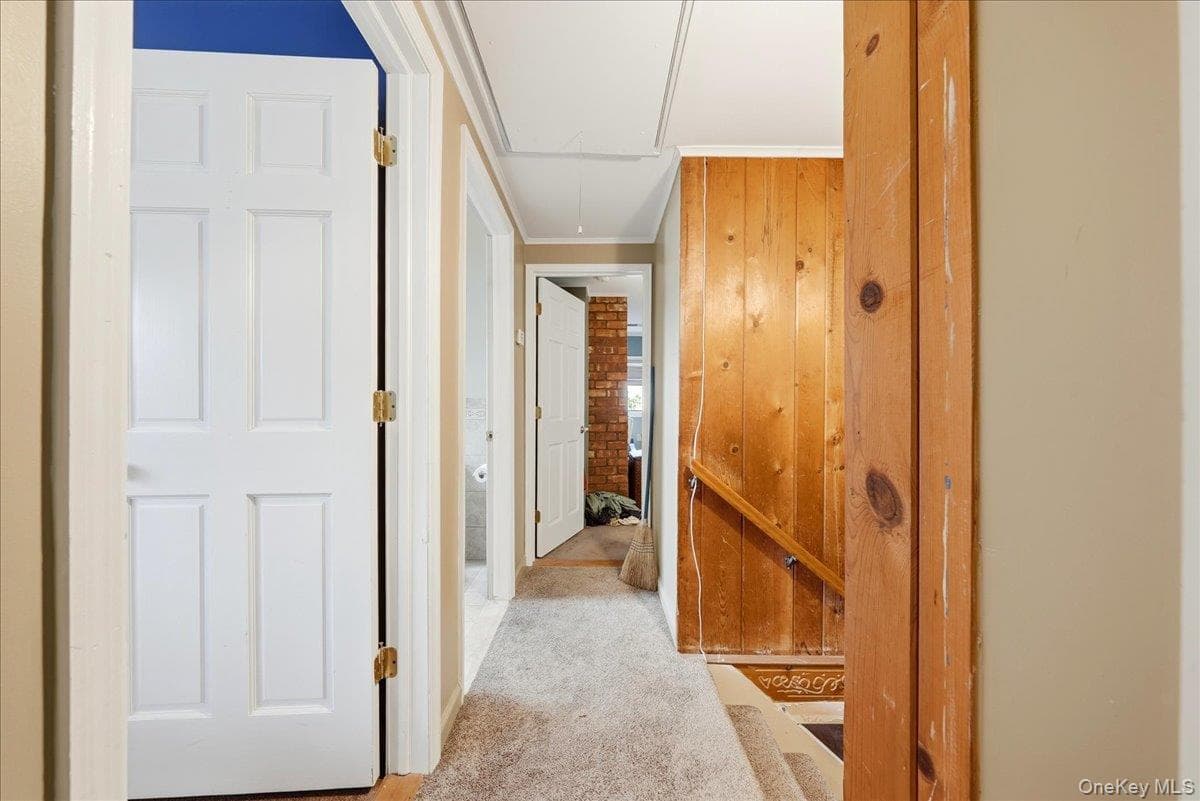 97 Cypress Lane thumbnail 20