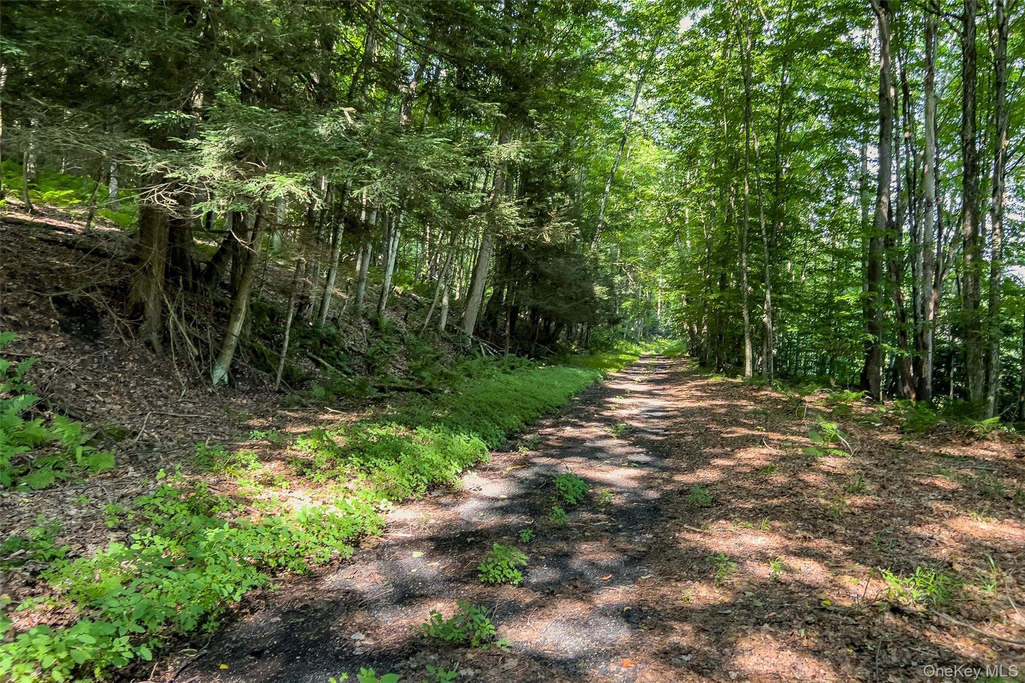 Lot #11 Franklin Depot Road thumbnail 26