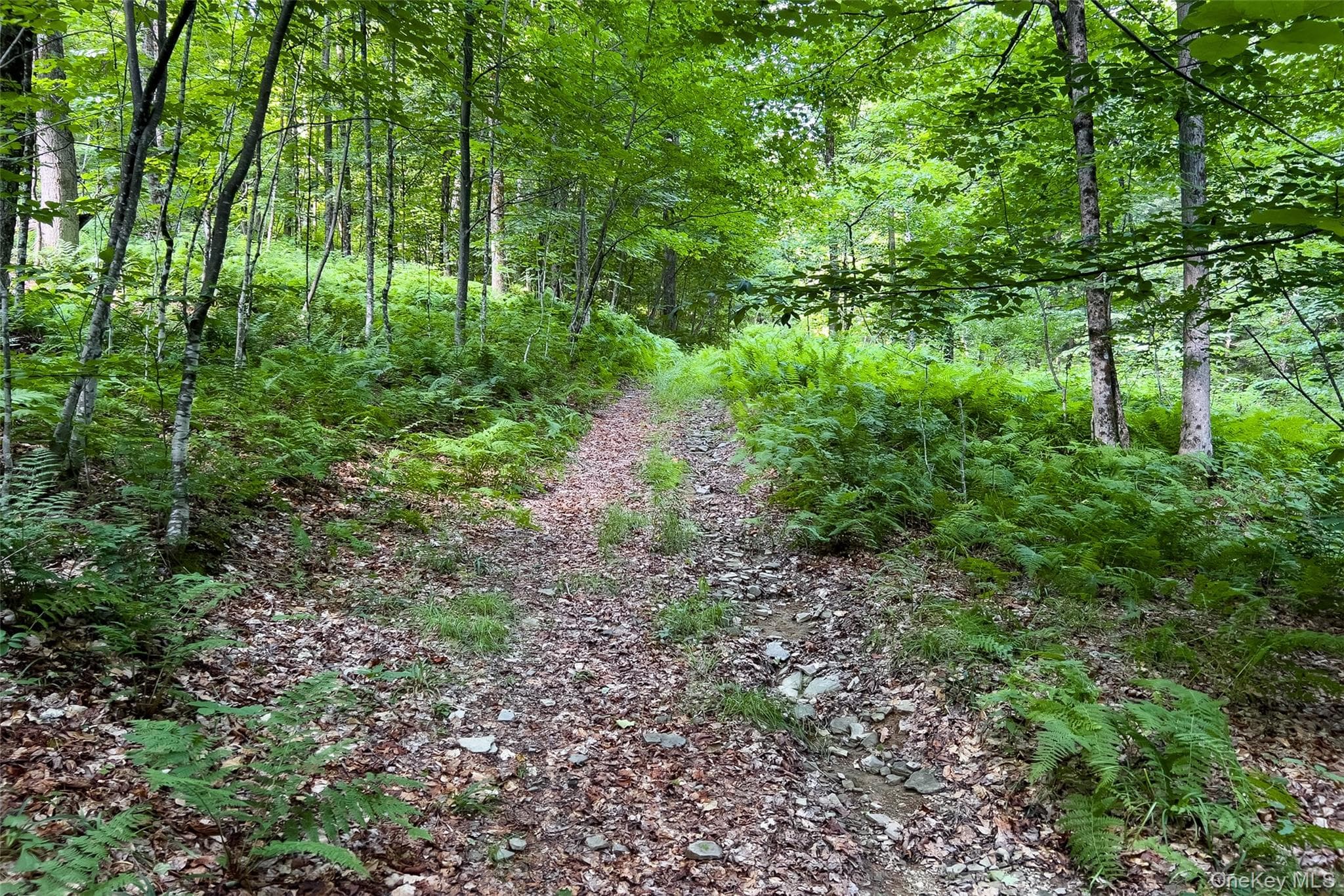 Lot #11 Franklin Depot Road thumbnail 44