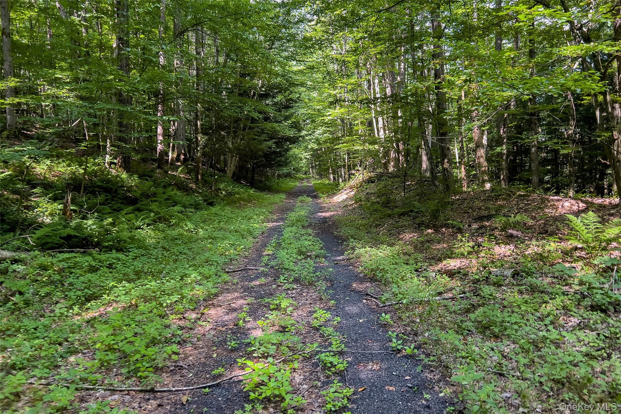 Lot #11 Franklin Depot Road thumbnail 48