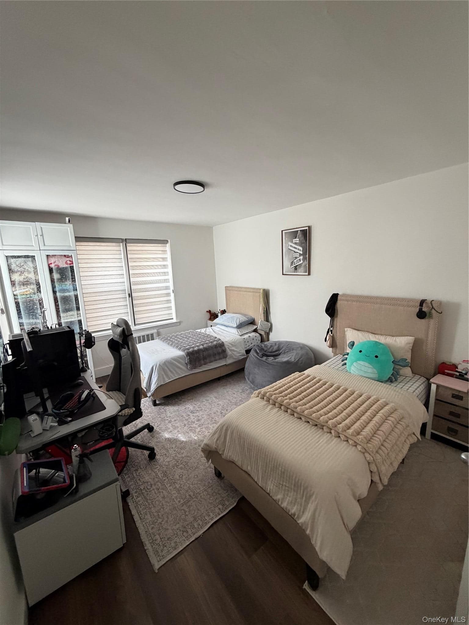 1180 Ocean Parkway Unit: 2E thumbnail 12