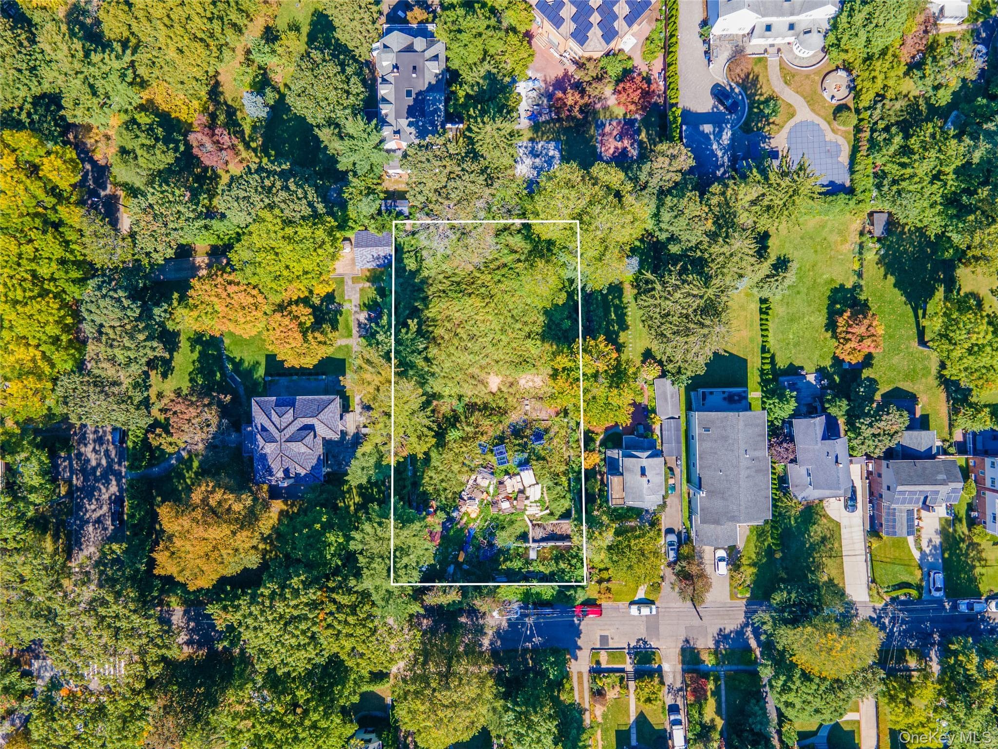 240-17 Poplar Street thumbnail 9