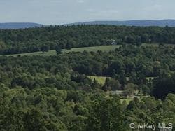 Greeley Road /rte 27 photo 1
