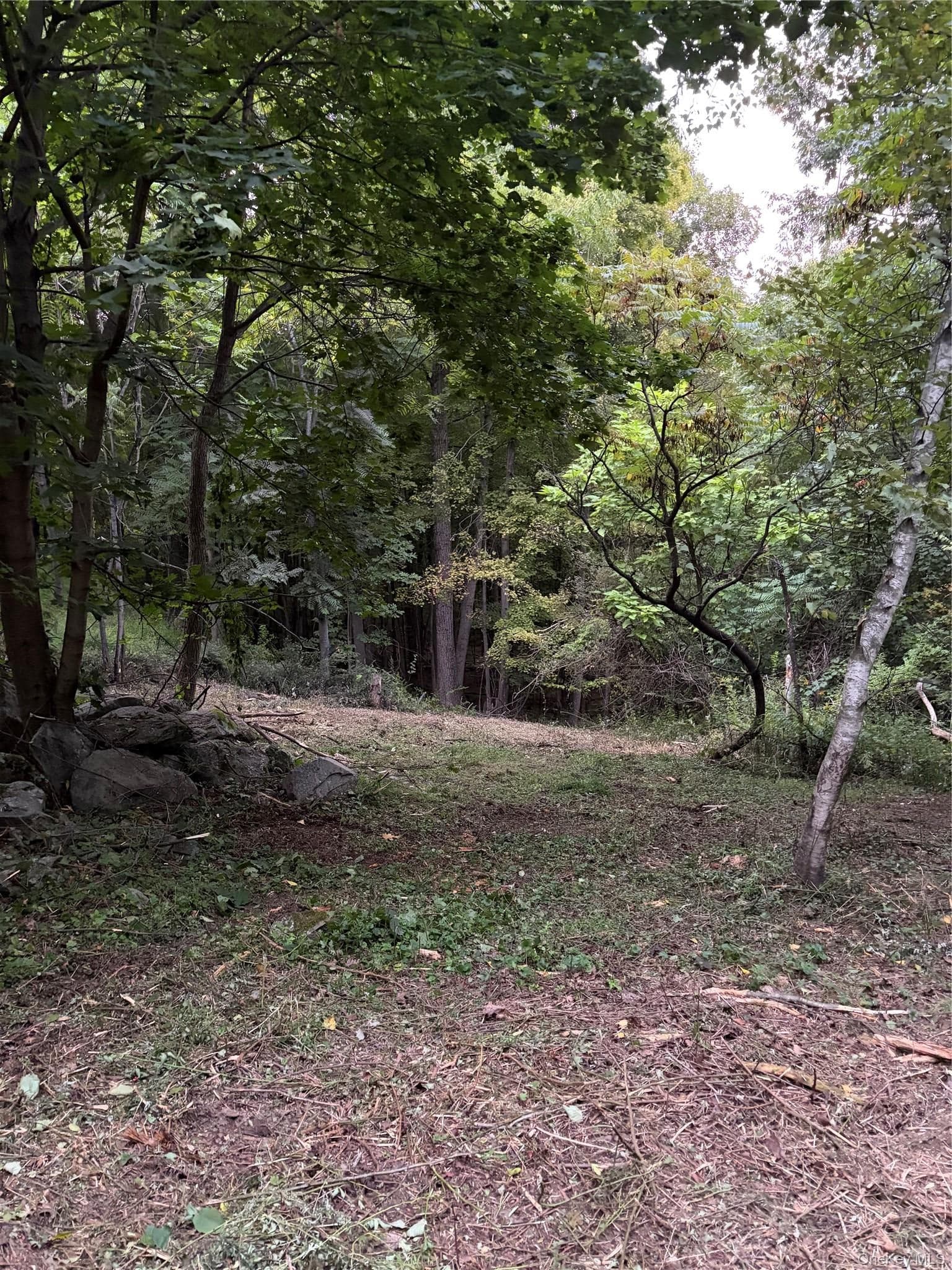 Canterbury Drive thumbnail 23