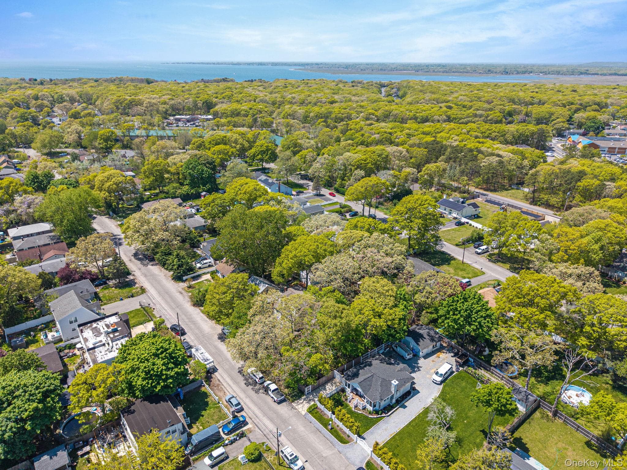 46 Brushwood Drive thumbnail 8