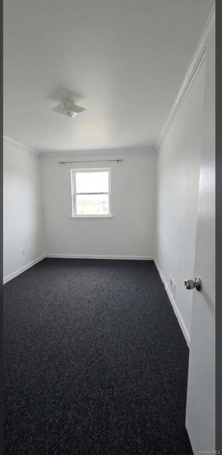 873 E 216th Street thumbnail 23