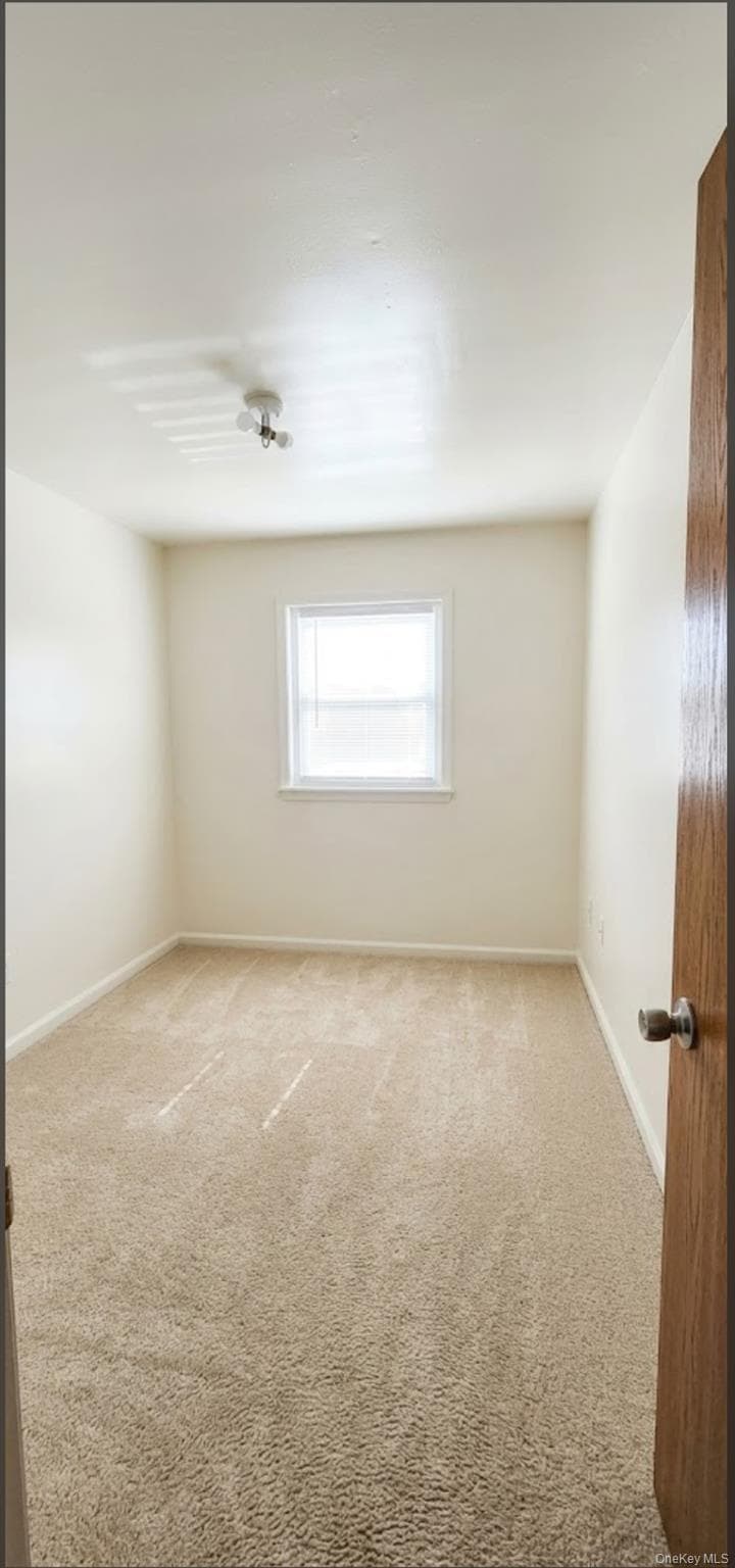 873 E 216th Street thumbnail 9