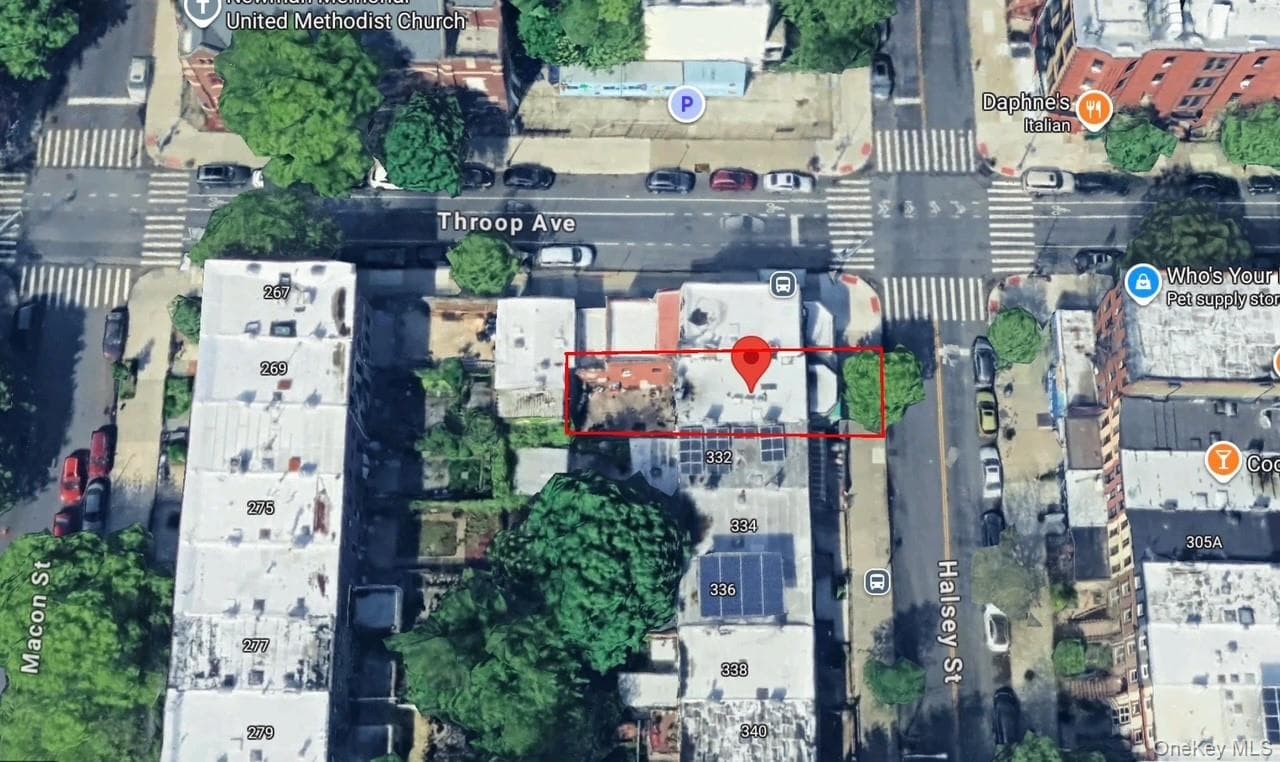 330 Halsey Street thumbnail 7