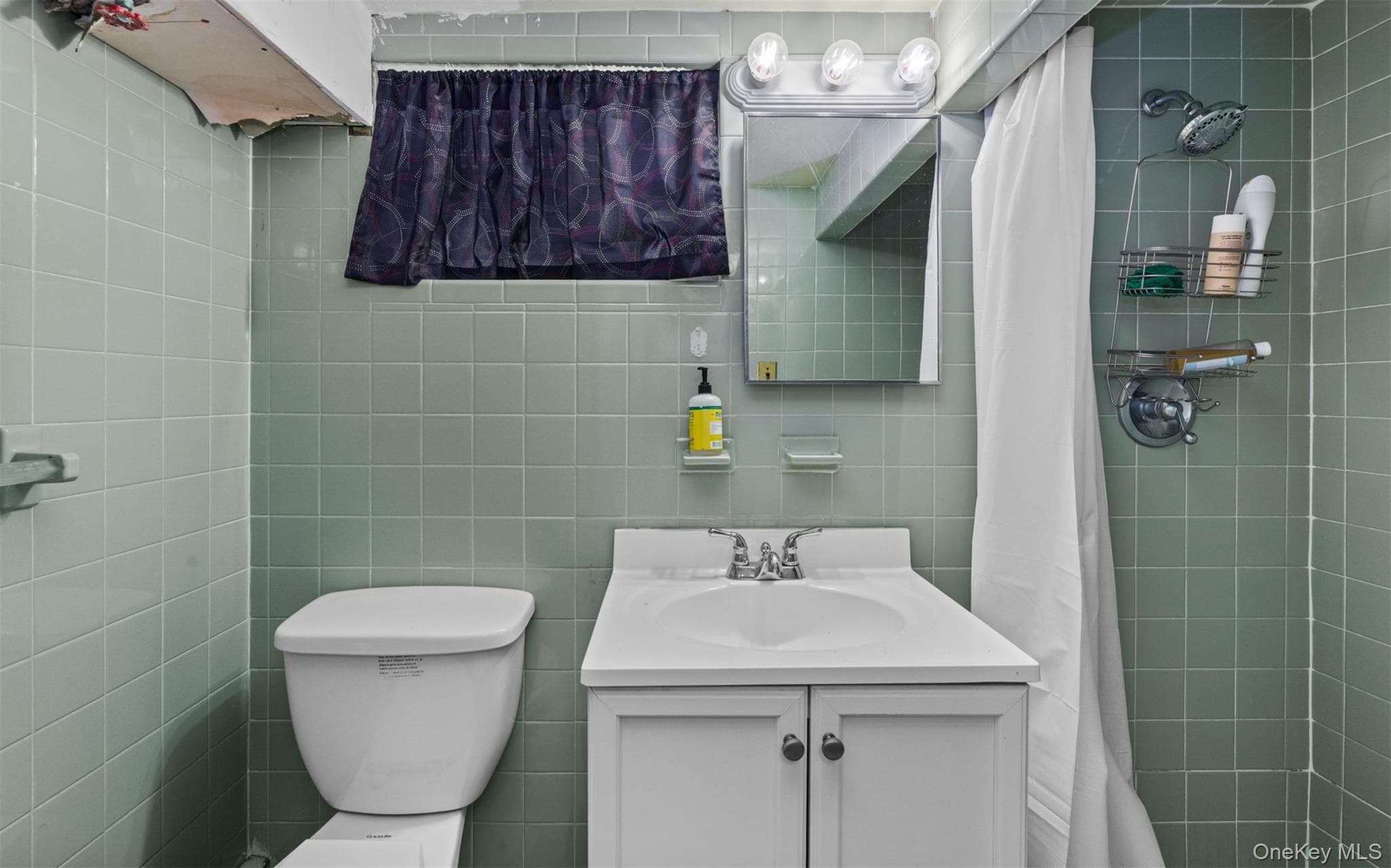 47 Alden Avenue thumbnail 21
