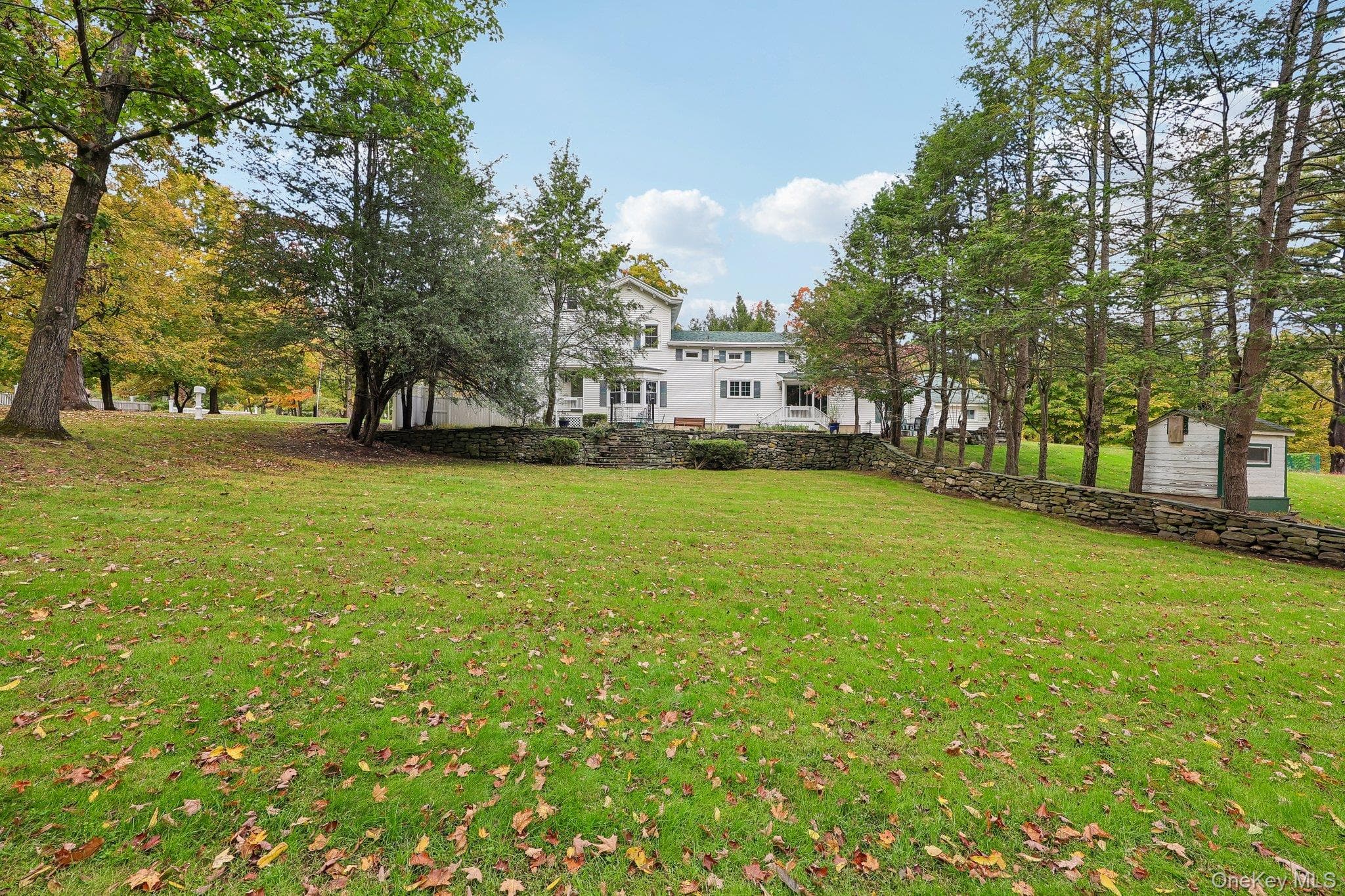 59 Webb Road thumbnail 45