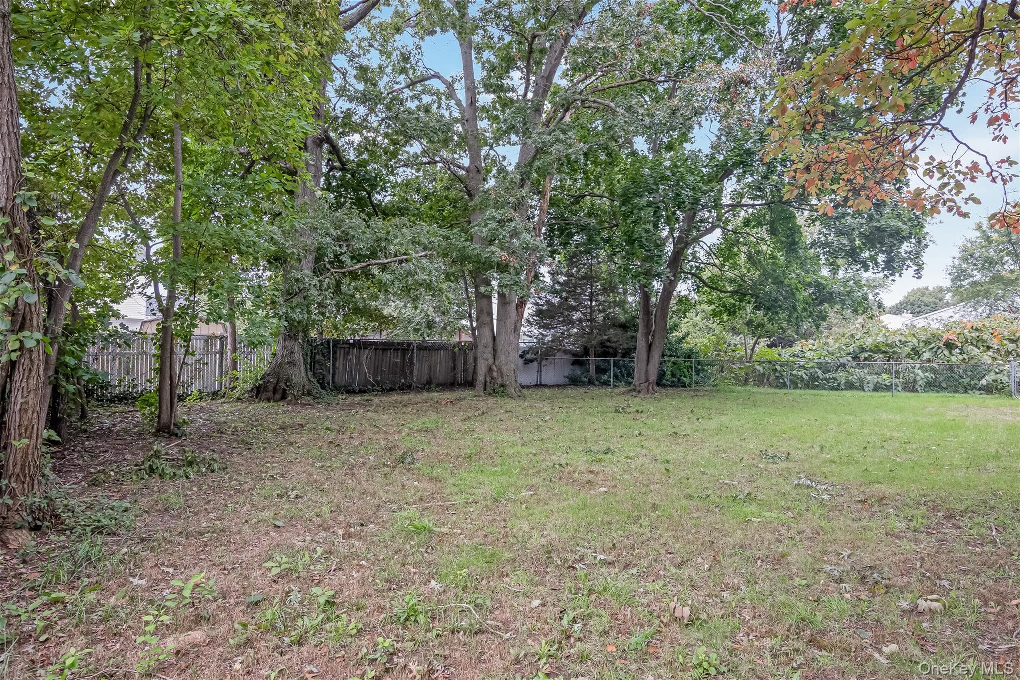 1182 E 3rd Avenue thumbnail 27