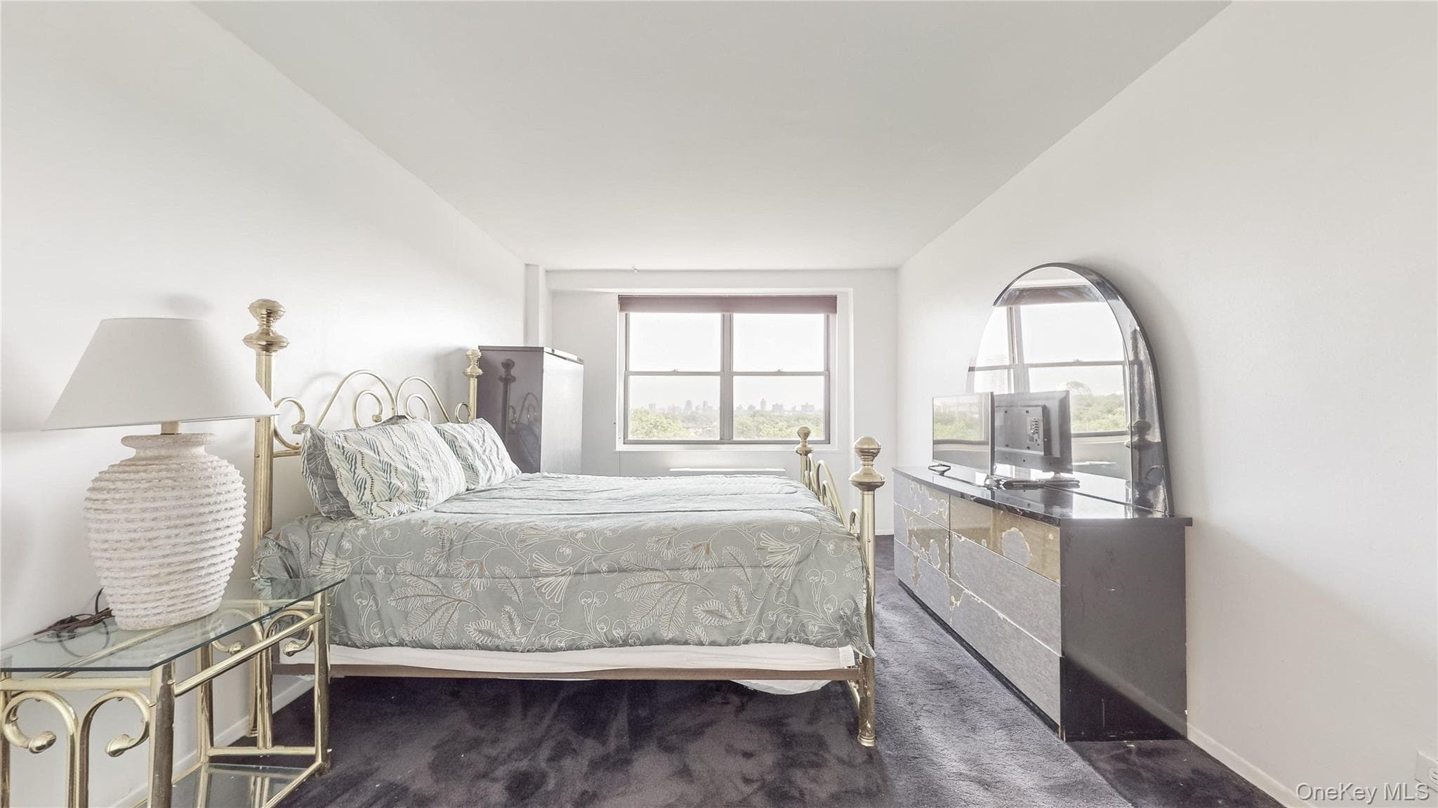61-20 Grand Central Parkway Pkwy Unit: A704 thumbnail 12