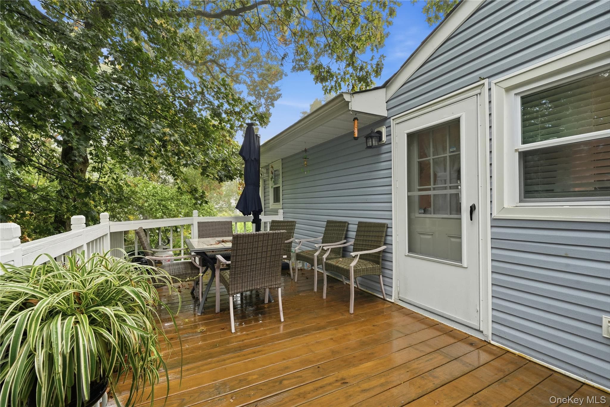 165 Berkshire Drive thumbnail 10