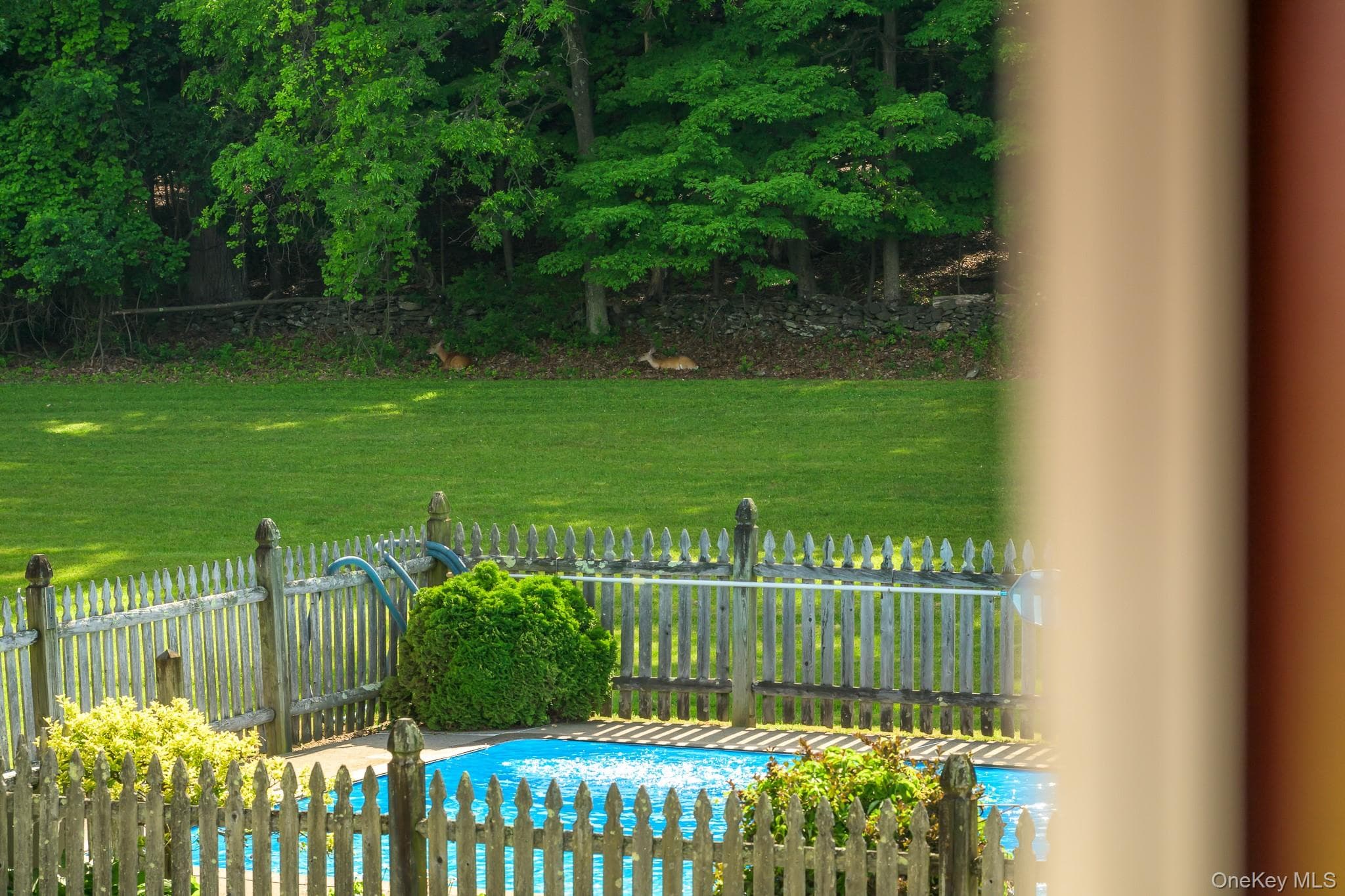 1530 River Road thumbnail 21