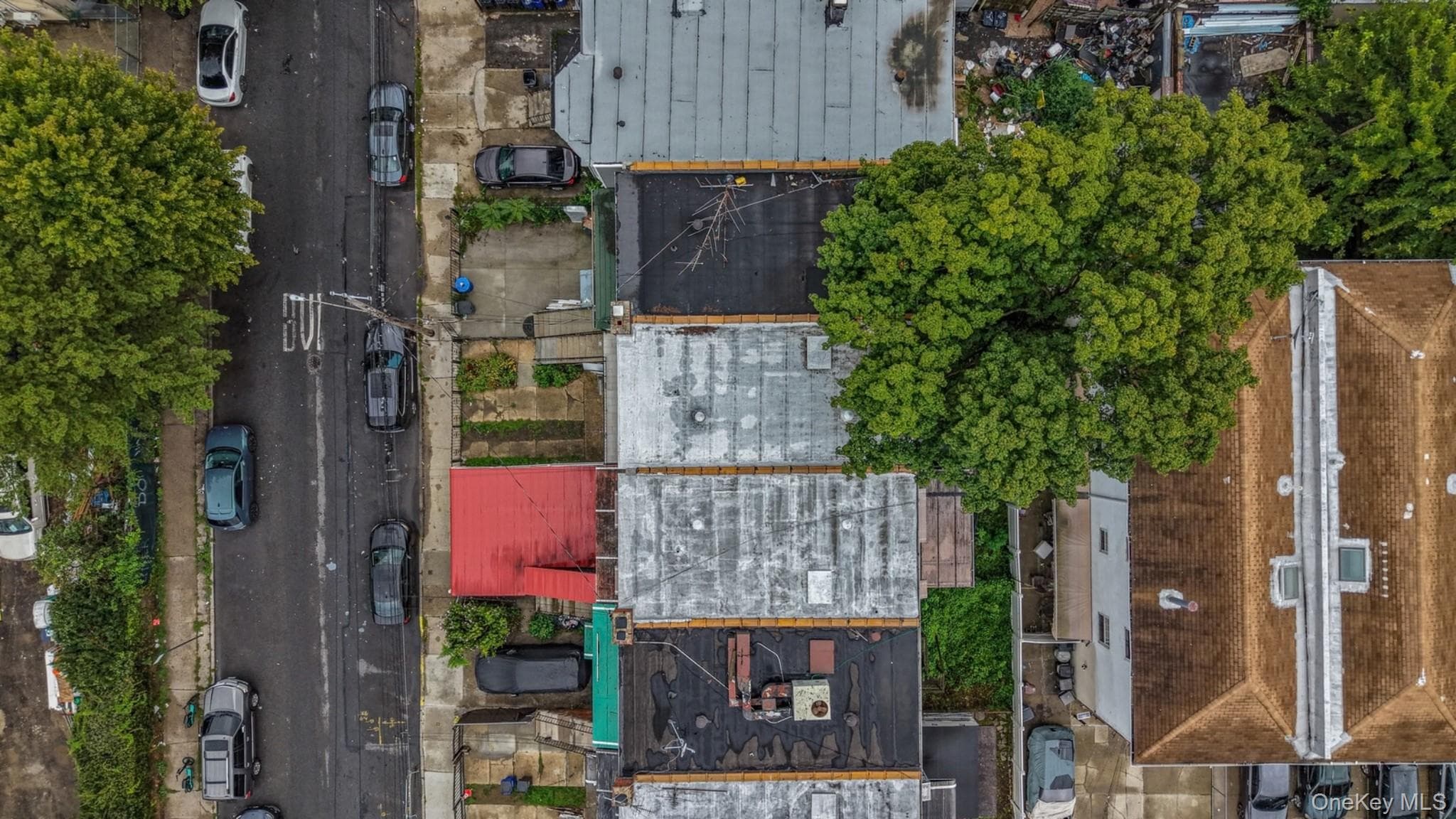 806 E 227th Street thumbnail 26