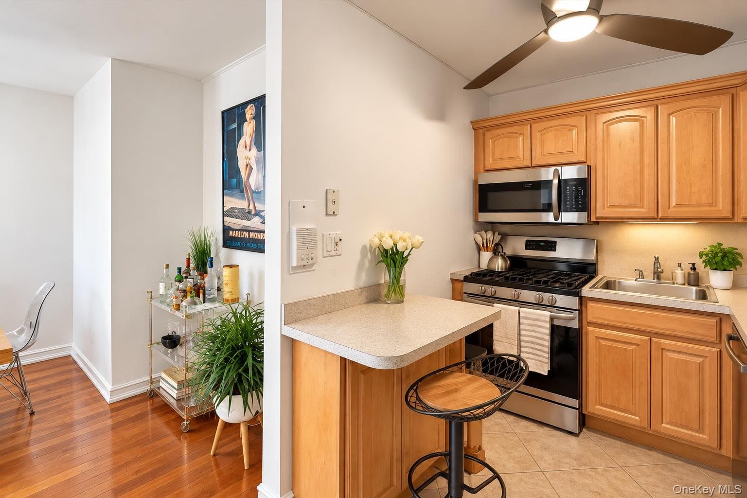 370 W Broadway Unit: 2A thumbnail 9