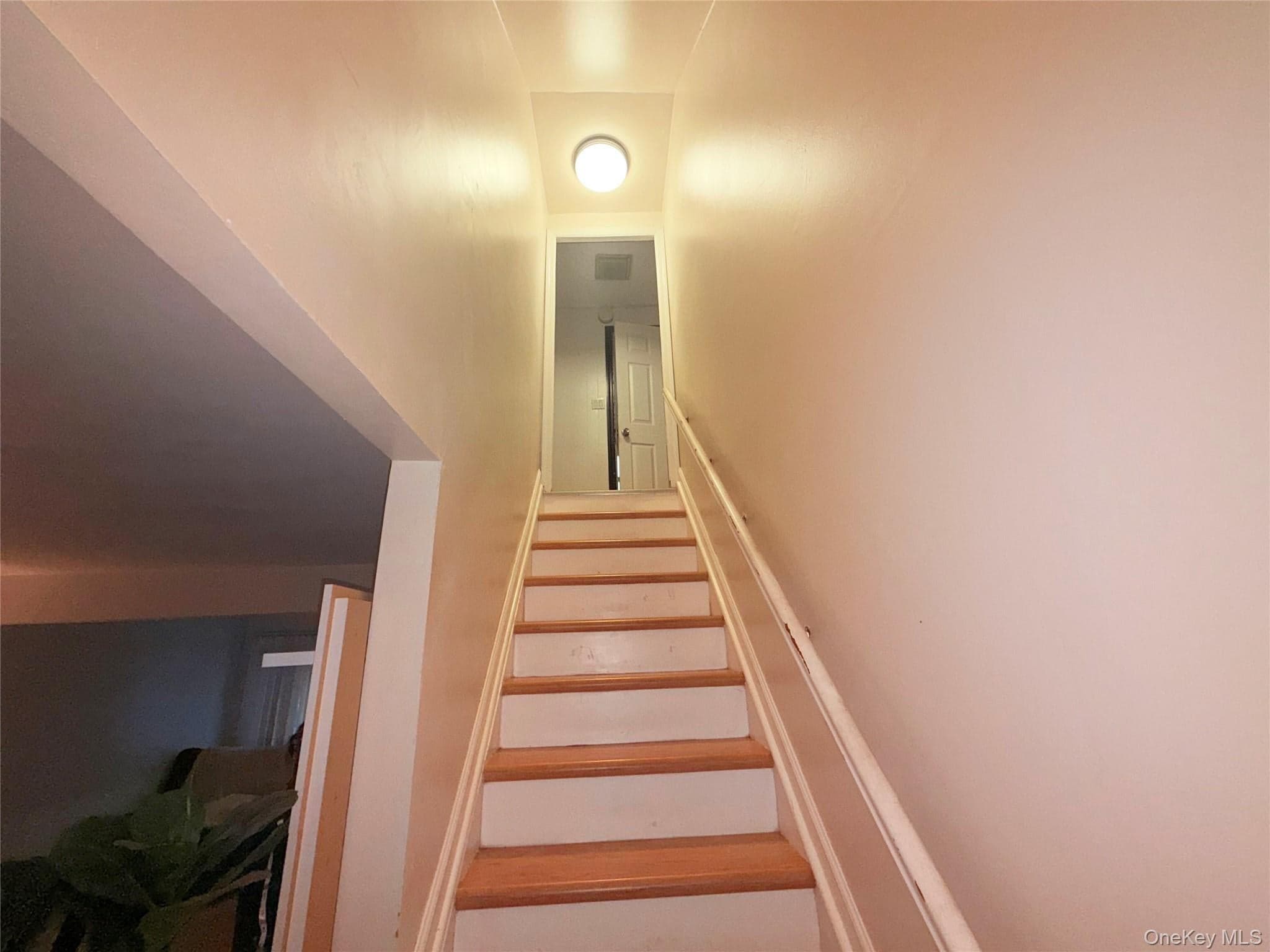 60 Boden Avenue thumbnail 11