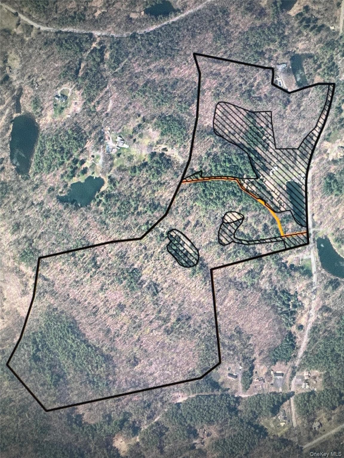 467 Roosevelt Avenue thumbnail 8