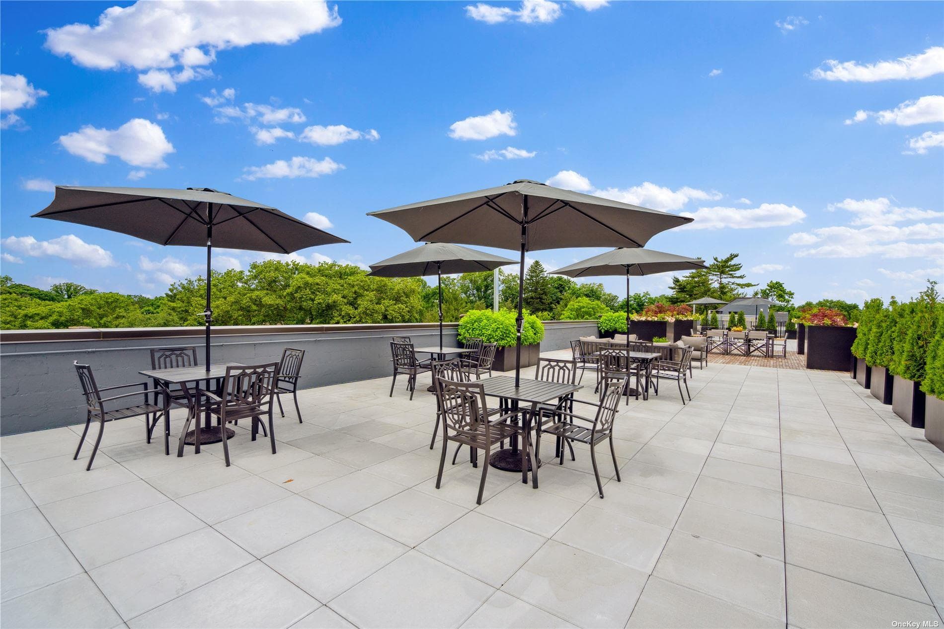 218 Middle Neck Road Unit: 202 thumbnail 21