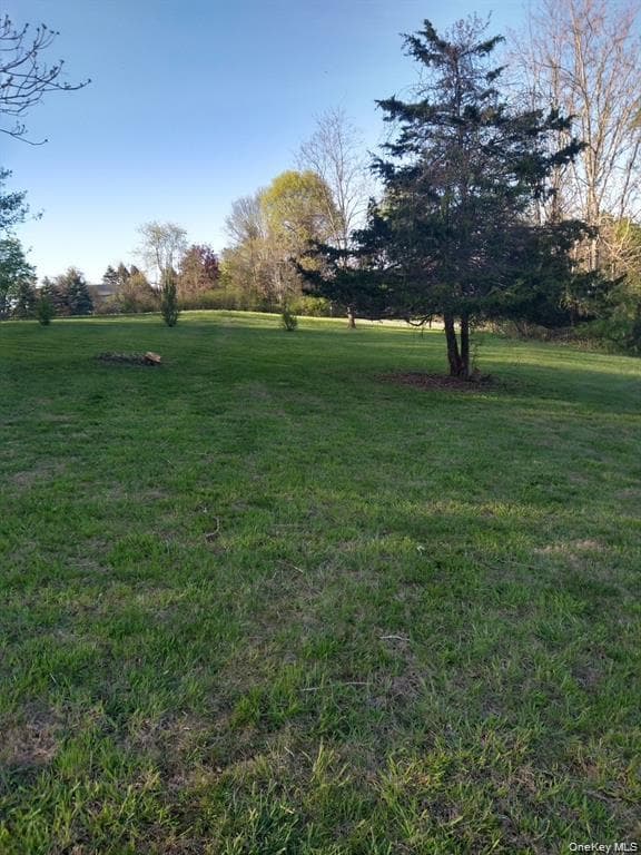 Harley Tucker Hill thumbnail 9
