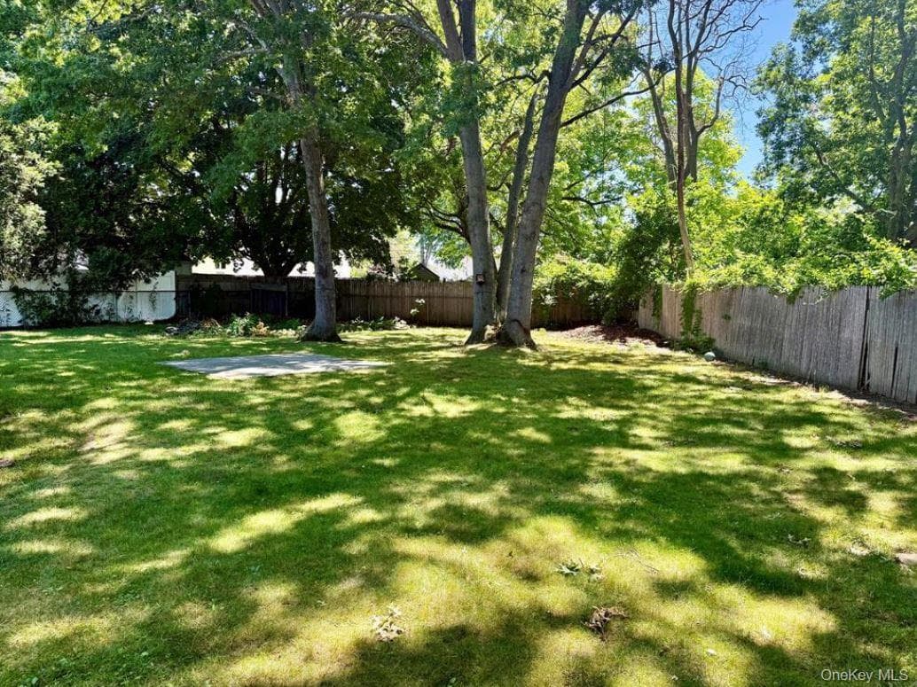 142 Palmer Street thumbnail 20
