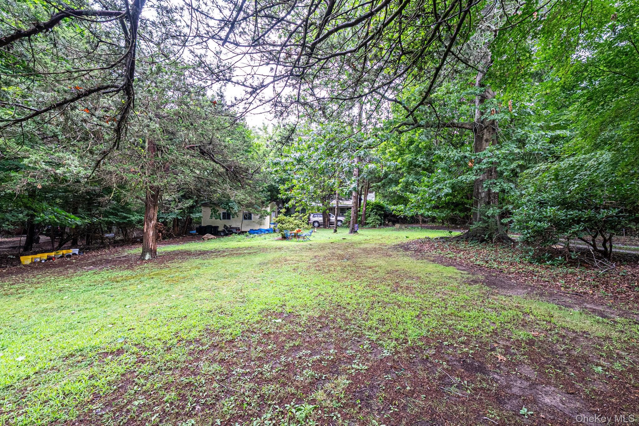 59 Dyke Road thumbnail 13