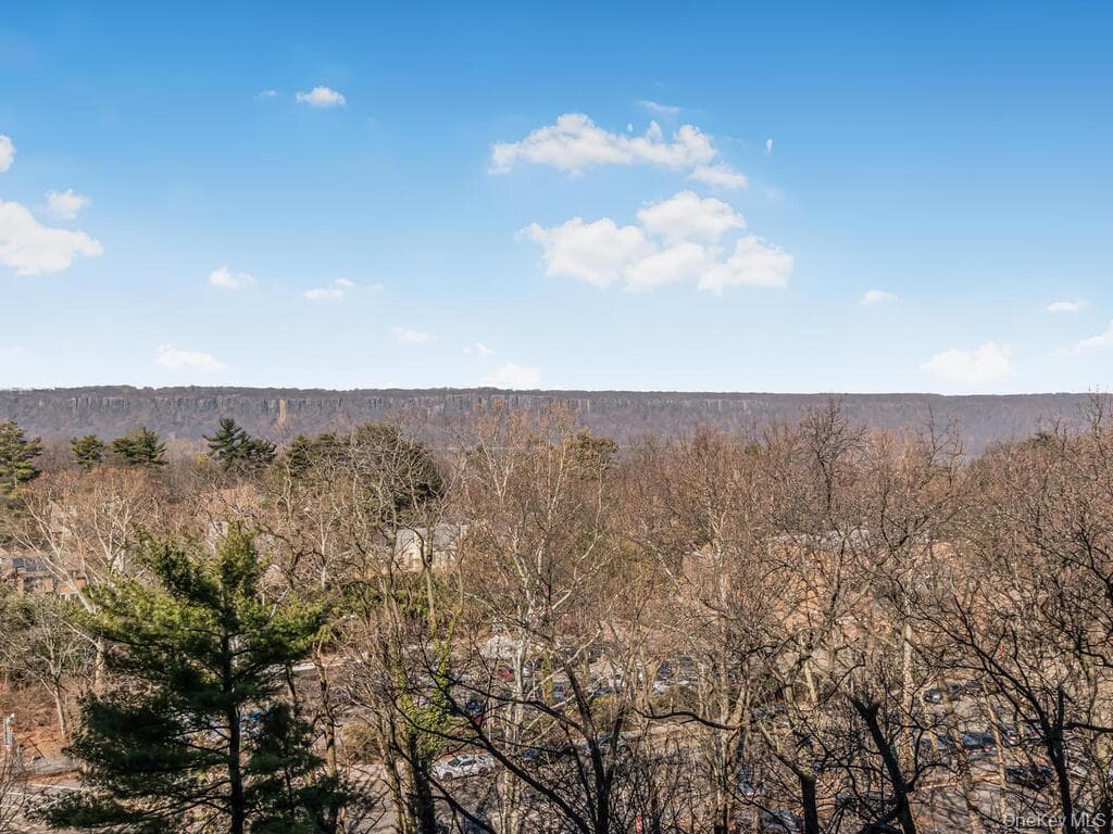 3935 Blackstone Avenue Unit: 8A thumbnail 5