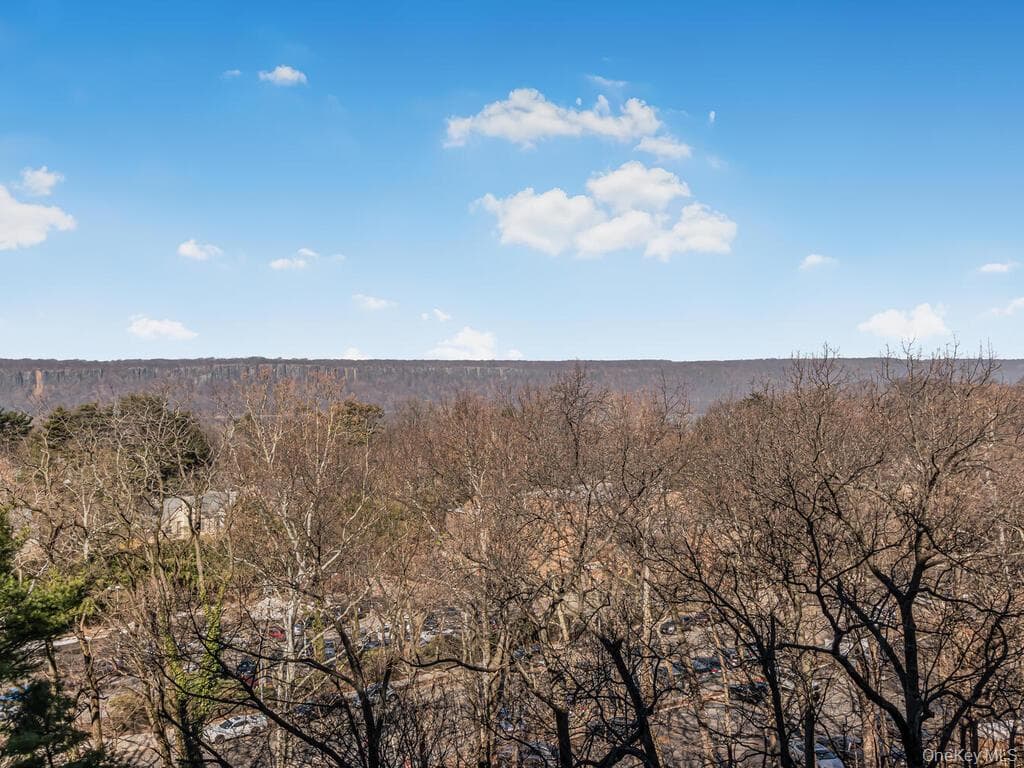 3935 Blackstone Avenue Unit: 8A thumbnail 17