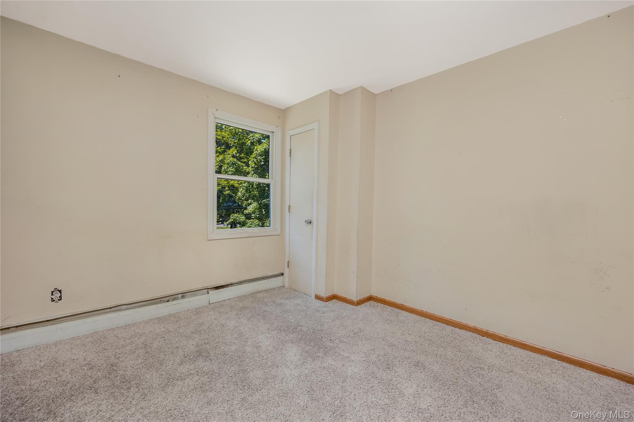 216 Woodbury Road thumbnail 10