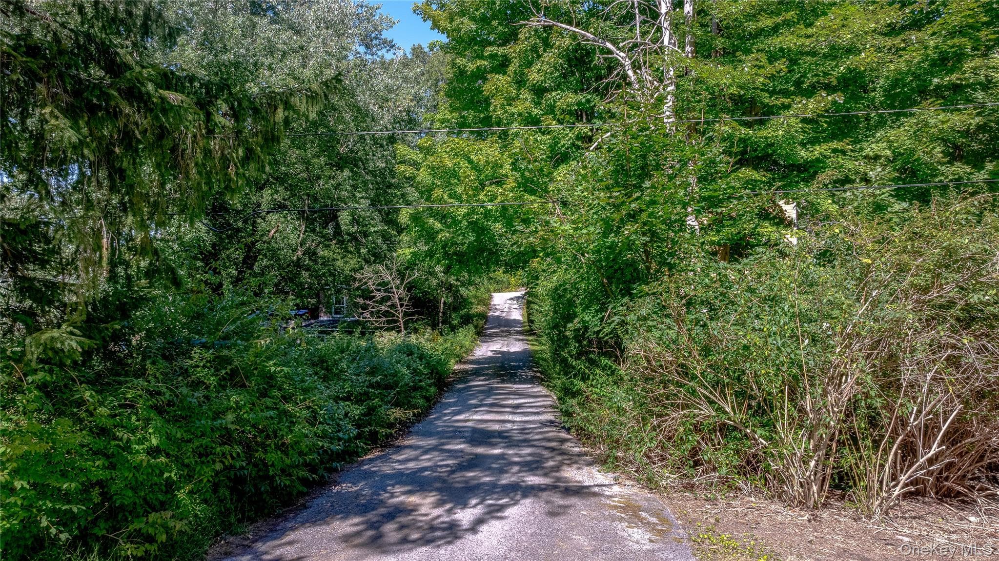 19 Turk Hill Road thumbnail 3