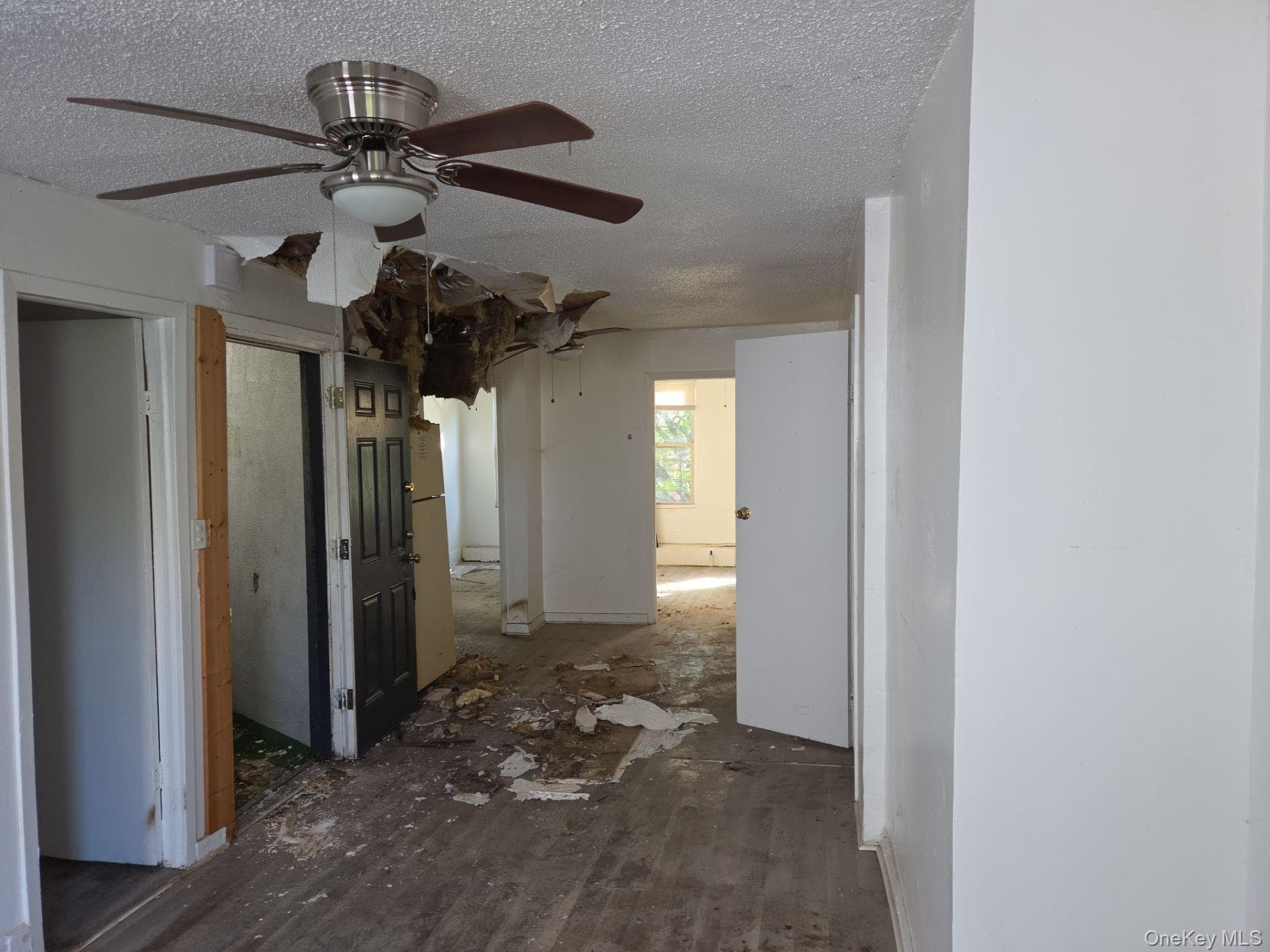 74 Utica Avenue thumbnail 4