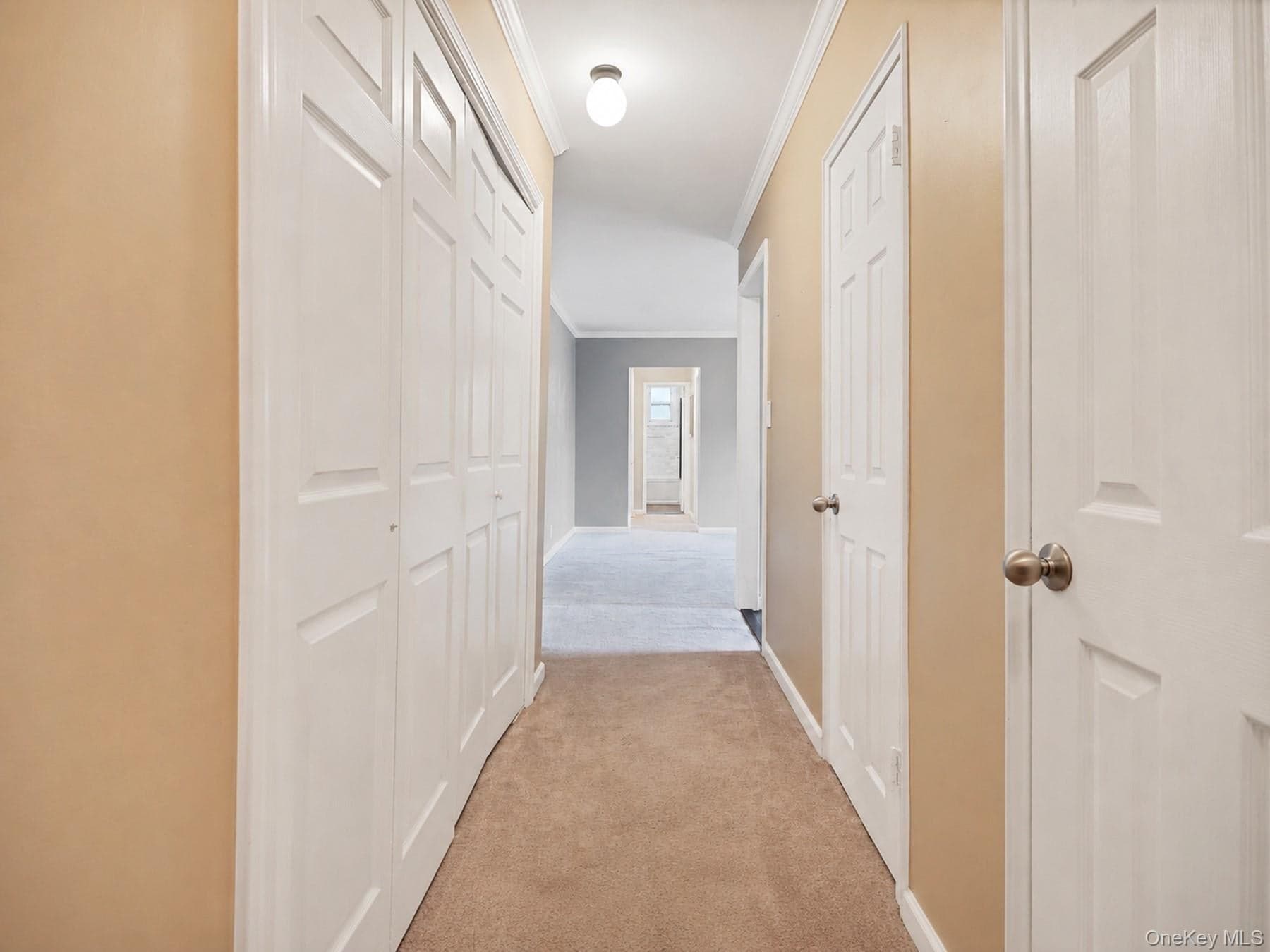 15 Bryant Crescent Unit: 2F thumbnail 6